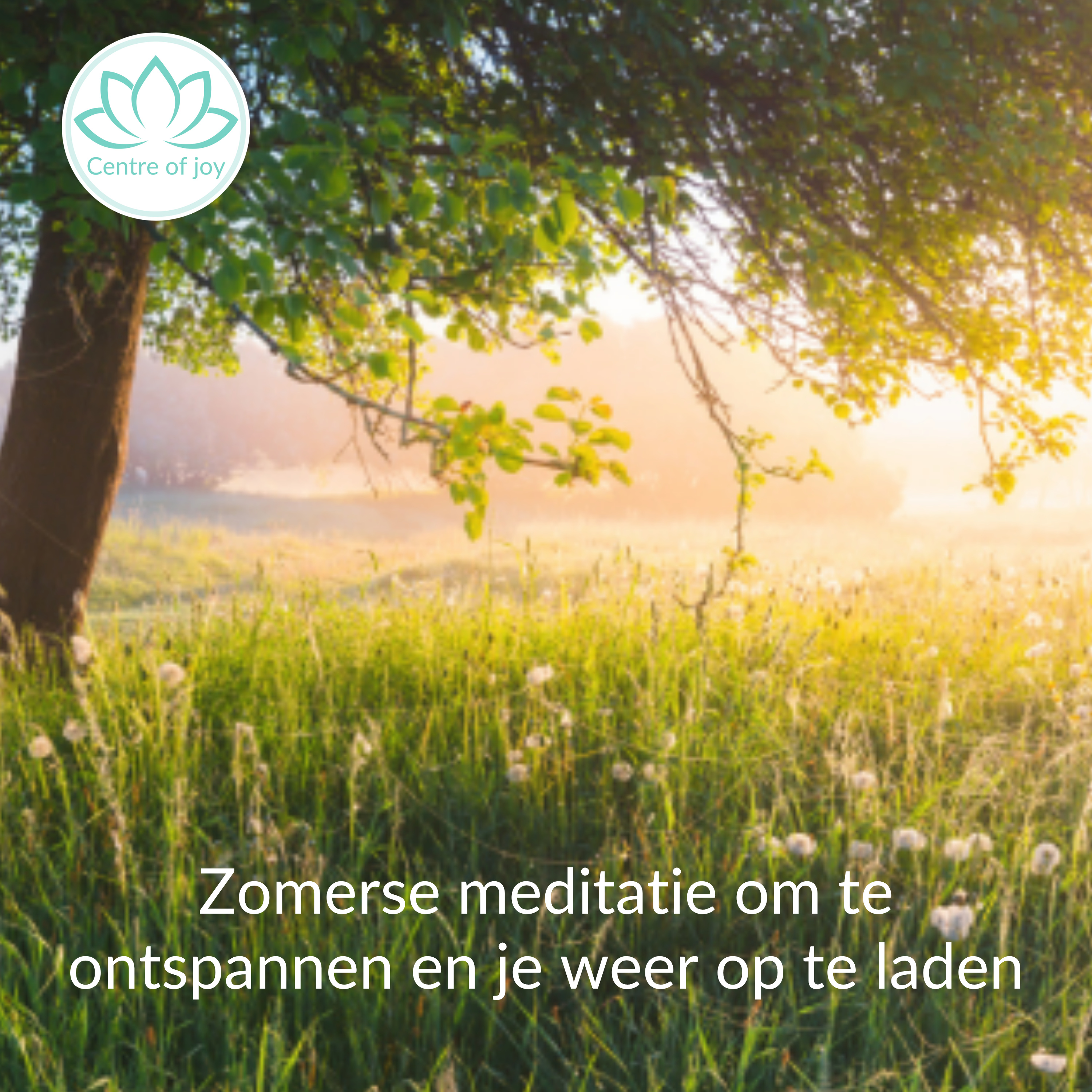 #082 | Zomerse meditatie om te ontspannen en je weer op te laden