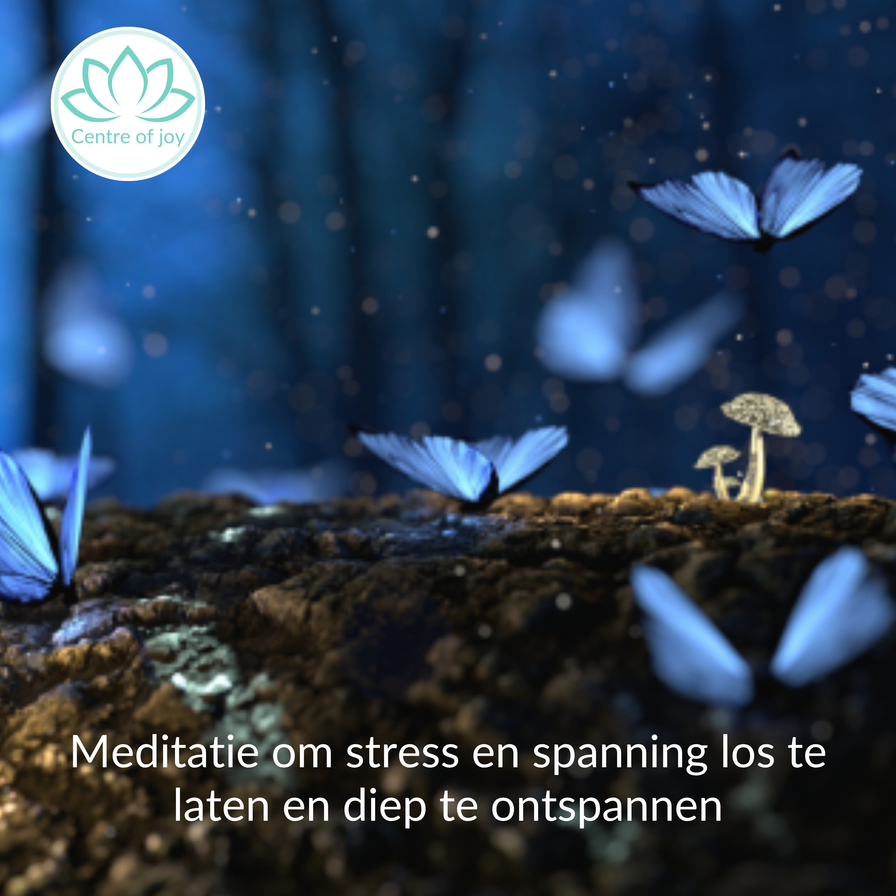 #089 | Meditatie om stress en spanning los te laten en diep te ontspannen