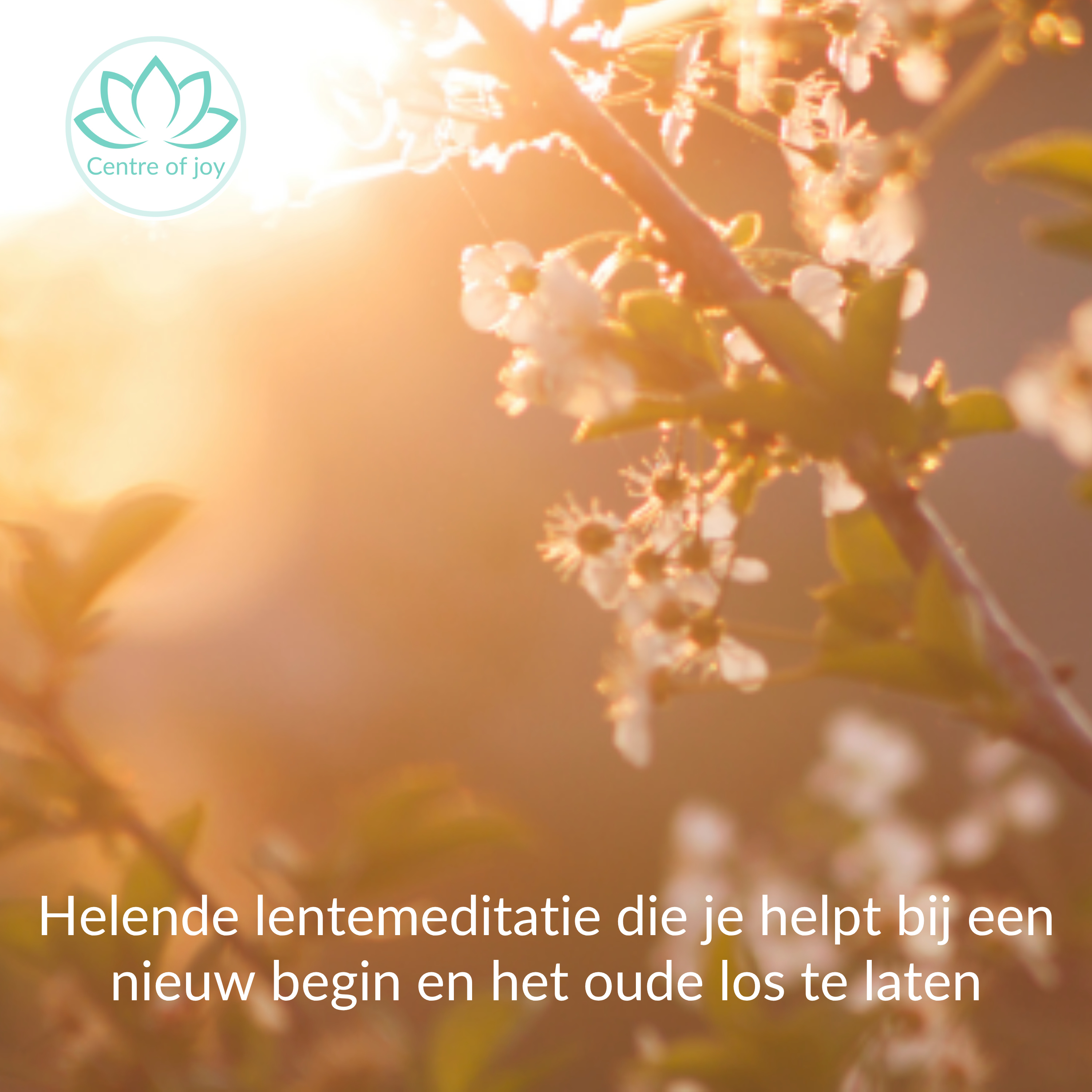 #091 | Helende lentemeditatie die je helpt bij een nieuw begin en het oude los te laten