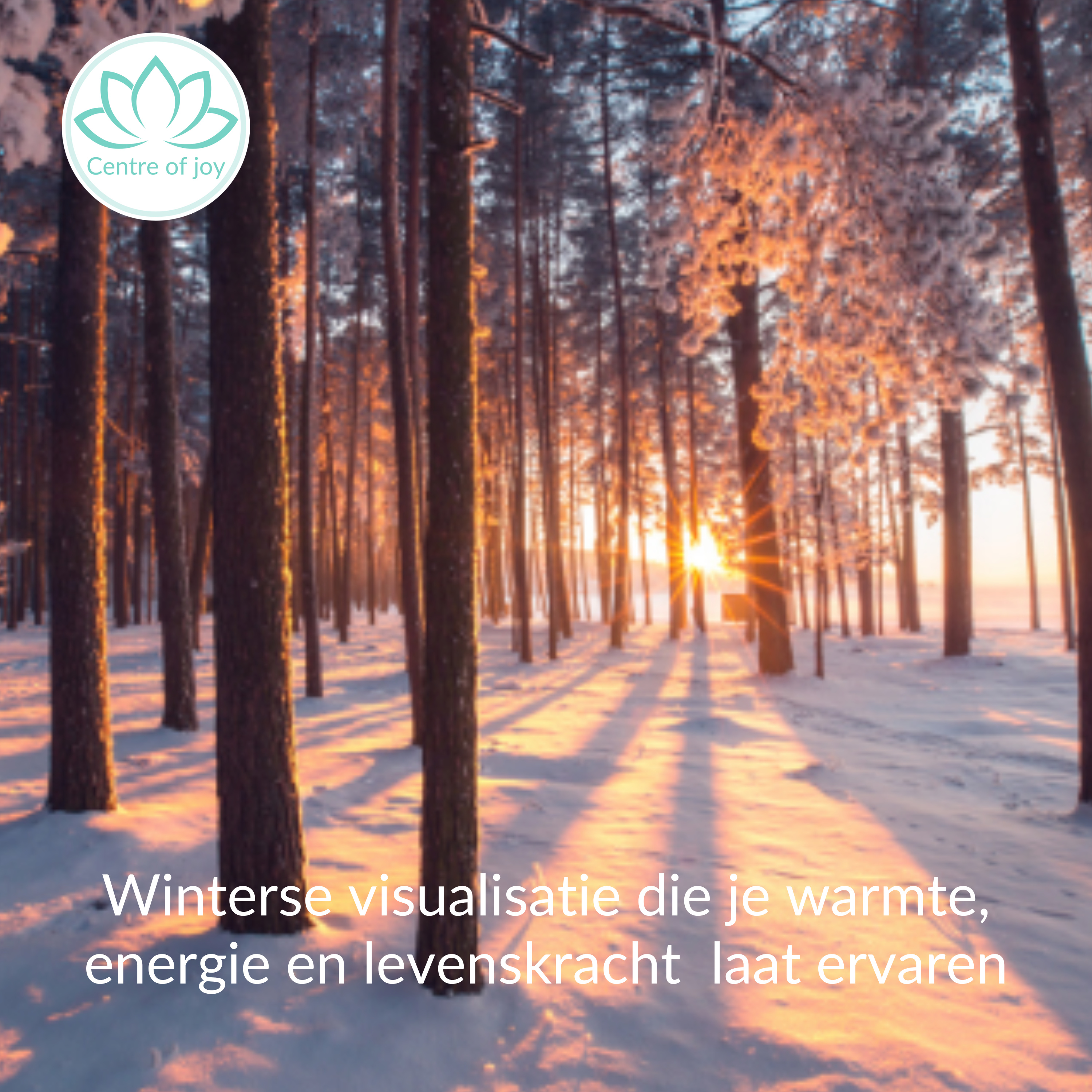 #096 | Winterse visualisatie die je warmte, energie en levenskracht geeft