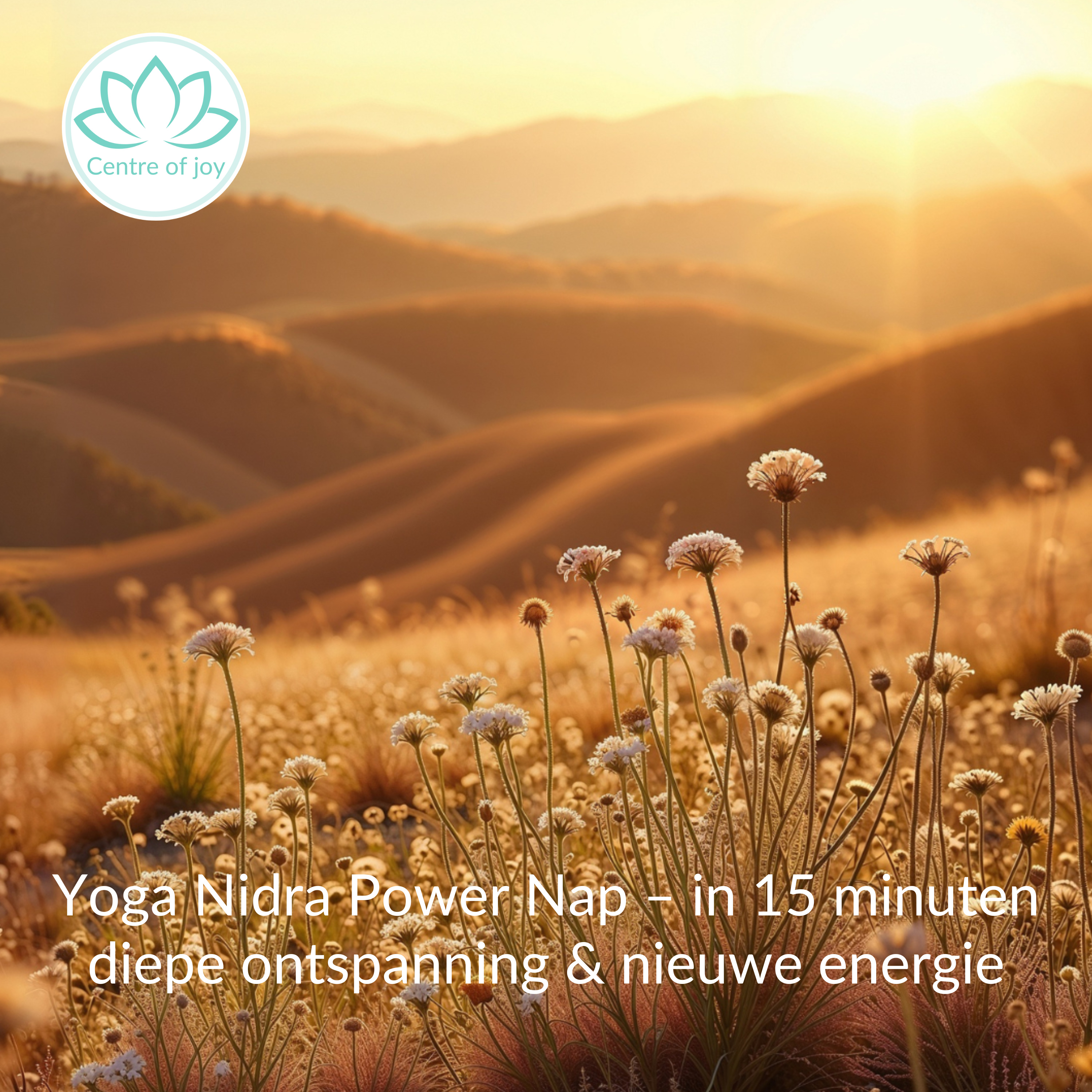 #102 | Yoga Nidra Power Nap – in 15 minuten diepe ontspanning & nieuwe energie episode artwork