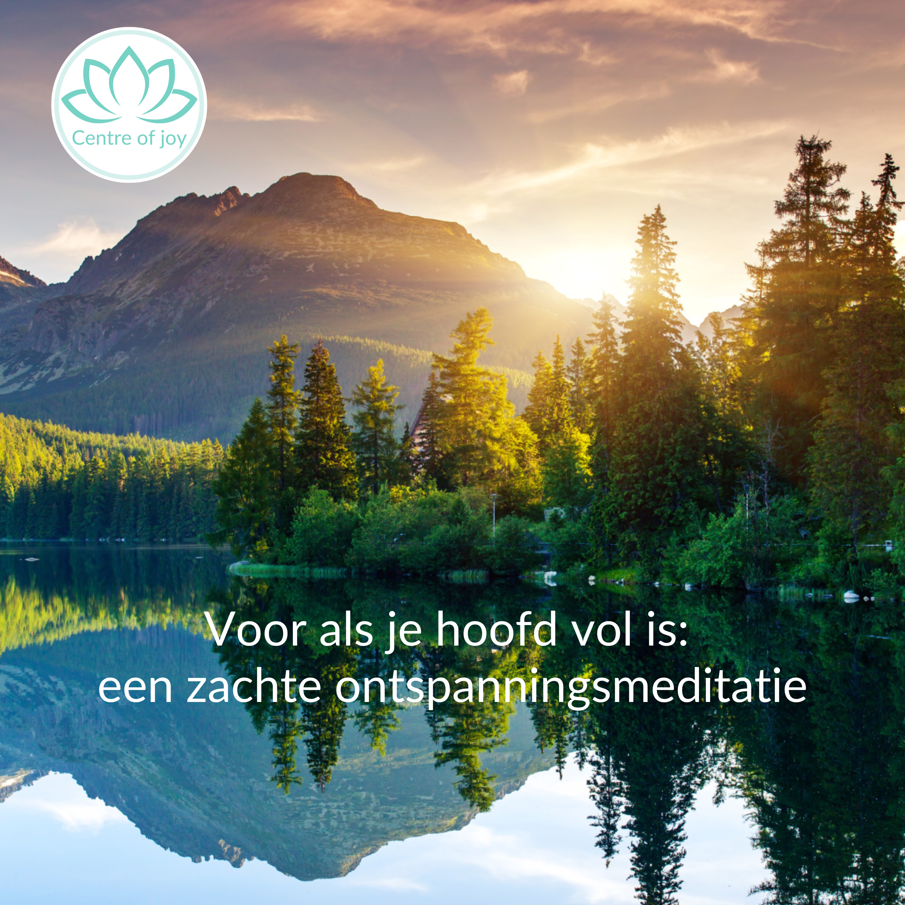 #103 | Voor als je hoofd vol is: een zachte ontspanningsmeditatie episode artwork