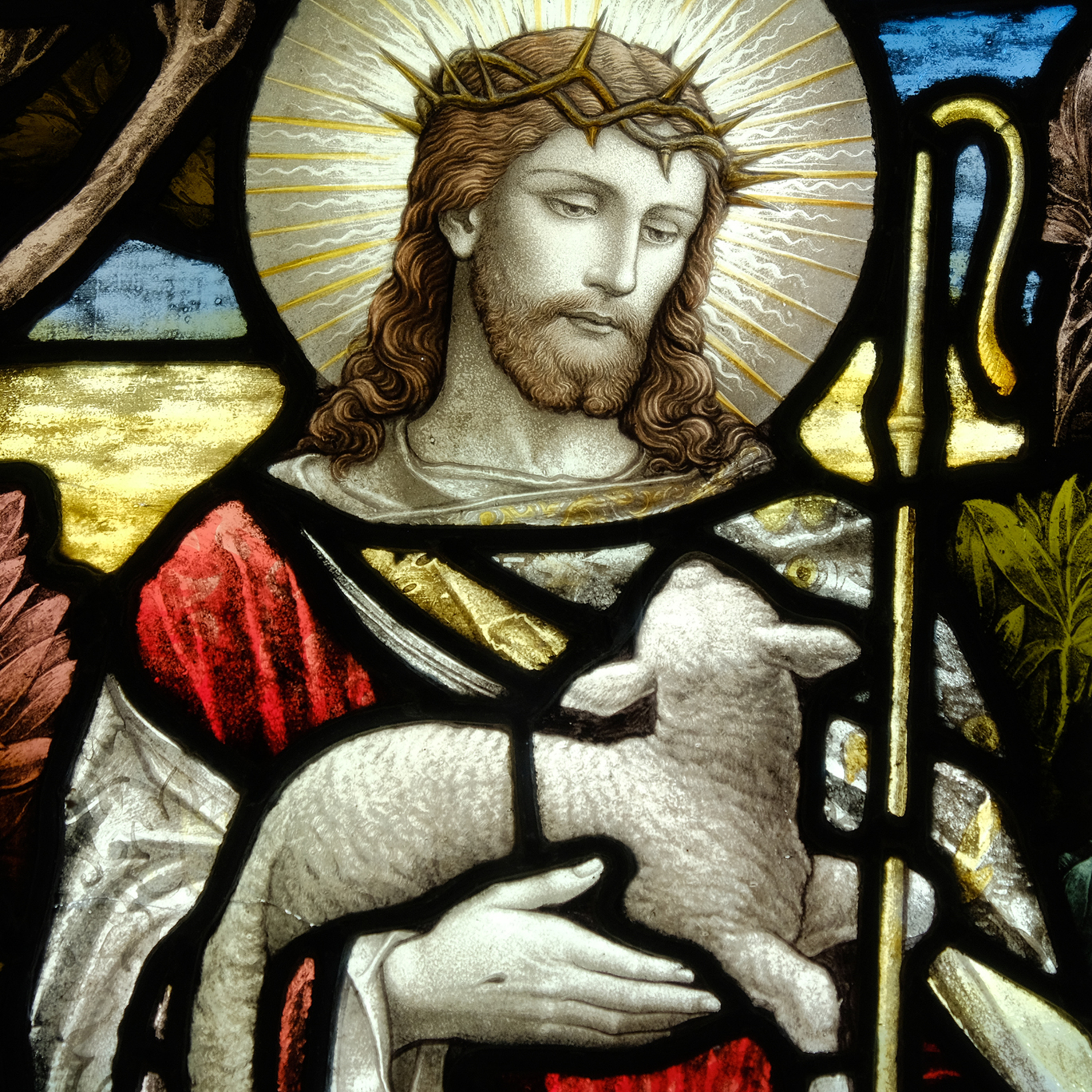 The Good Shepherd Who Will Not Give Up on You episode artwork