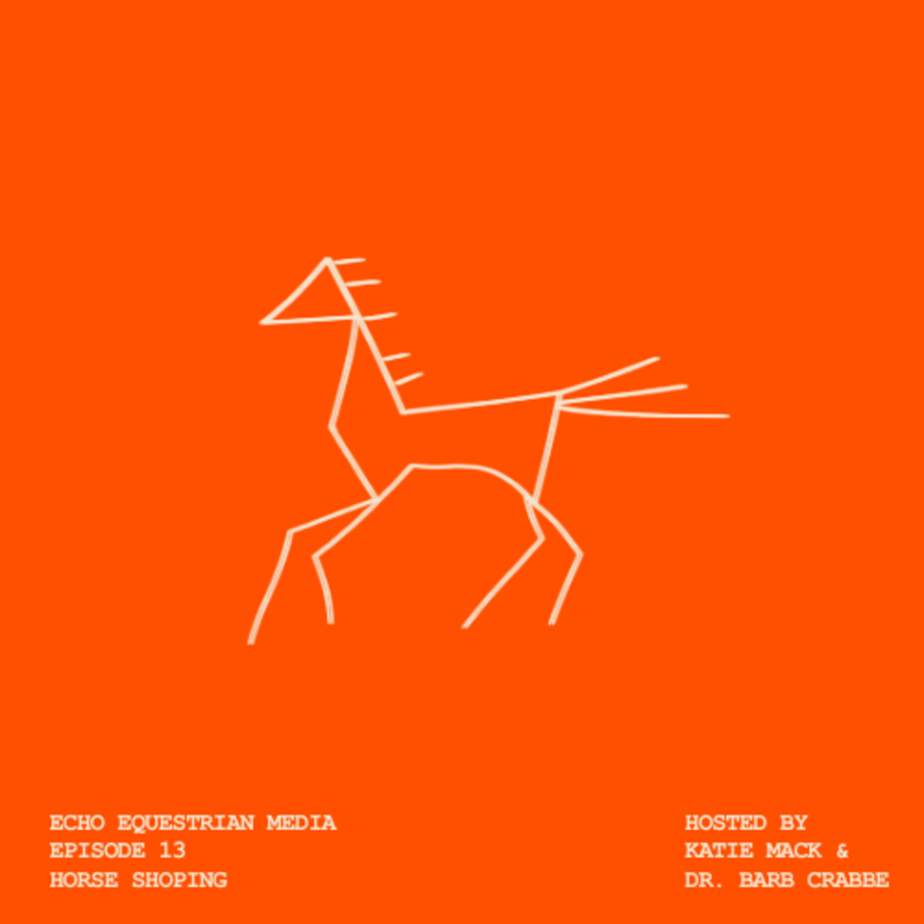 horse shopping, pre purchase exams and importing horses episode artwork