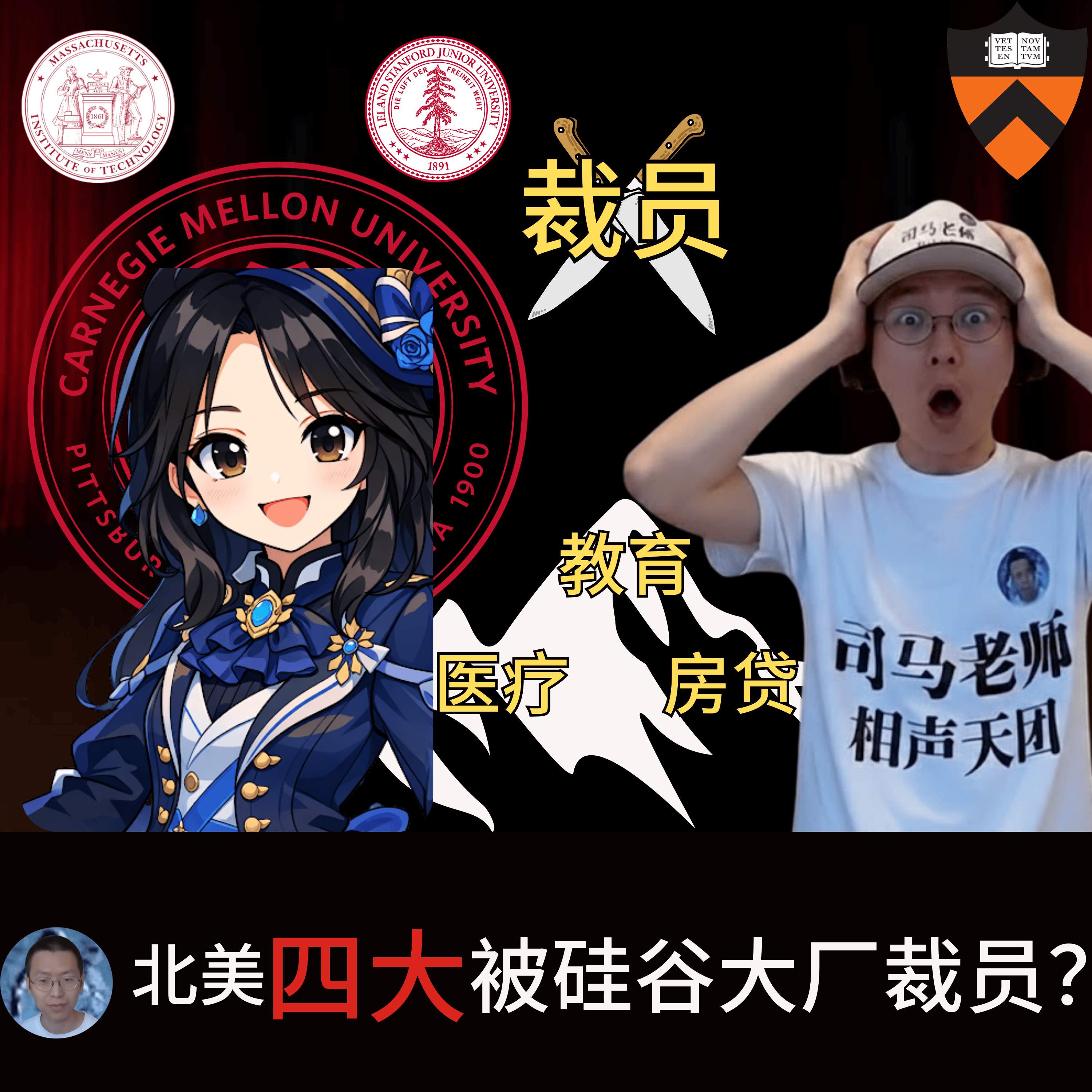 北美前四名校高材生在硅谷大厂工作五年被不幸裁员，如何避免成为下水道史莱姆？ 如何避免成为高达碎片？如何面对丧失医保，房子断供？难道牢A说的是对的？ episode artwork