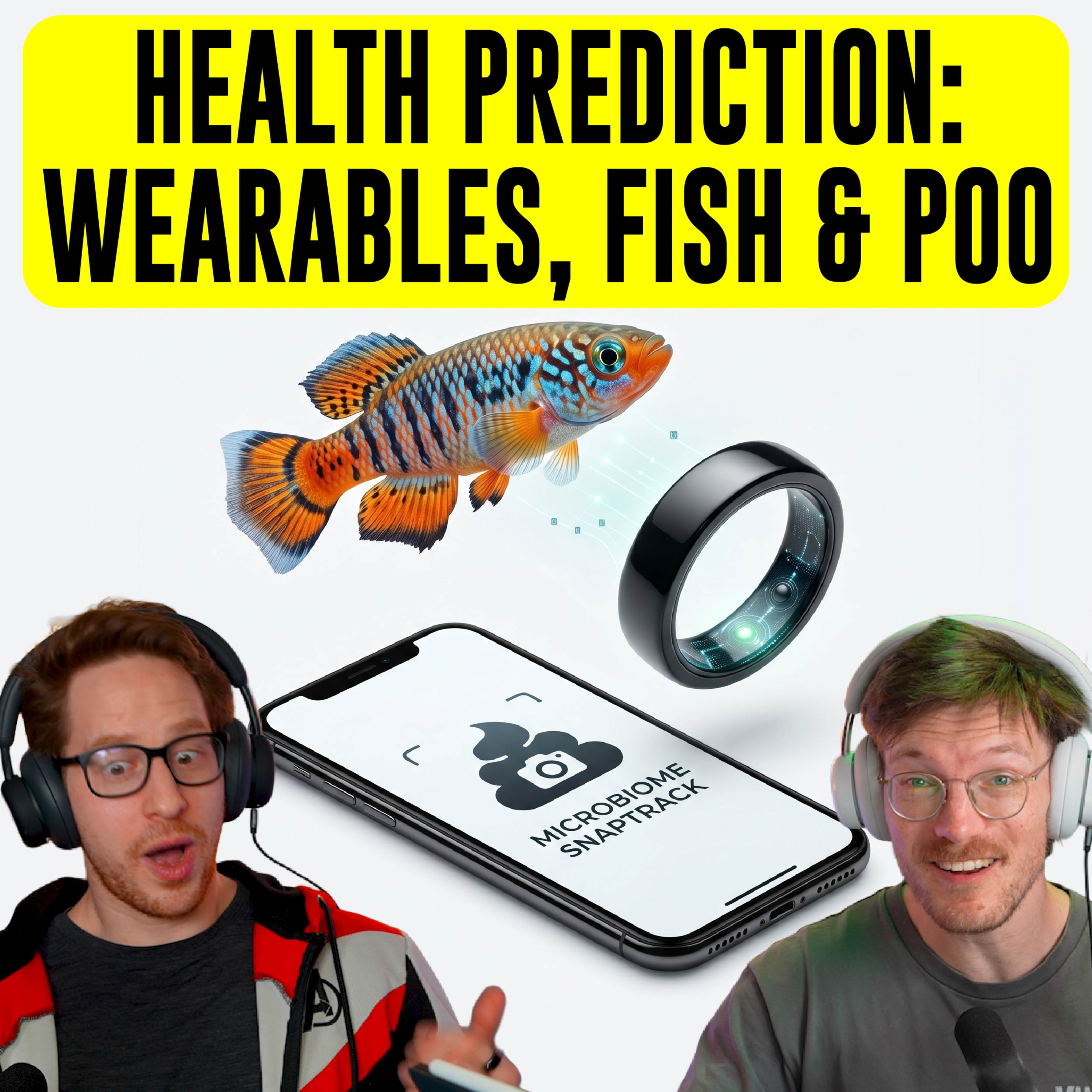 Stanford's Aging Fish, Tracking Wishlist, Placebo Blueberries & Measuring Body Composition - Q1’26 Updates (Fit For Science Episode 15) episode artwork
