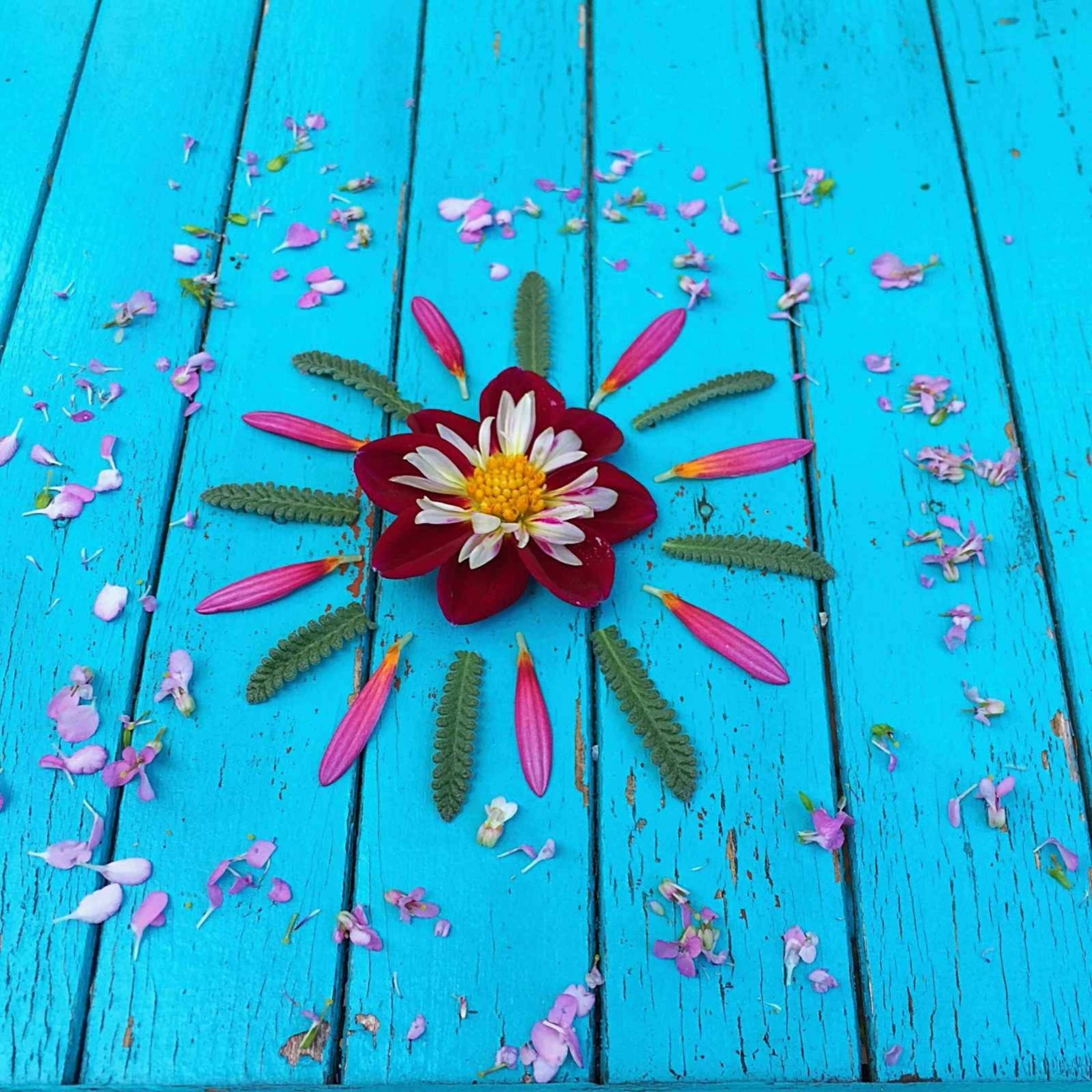 Morning Grounding and Alignment Meditation episode artwork
