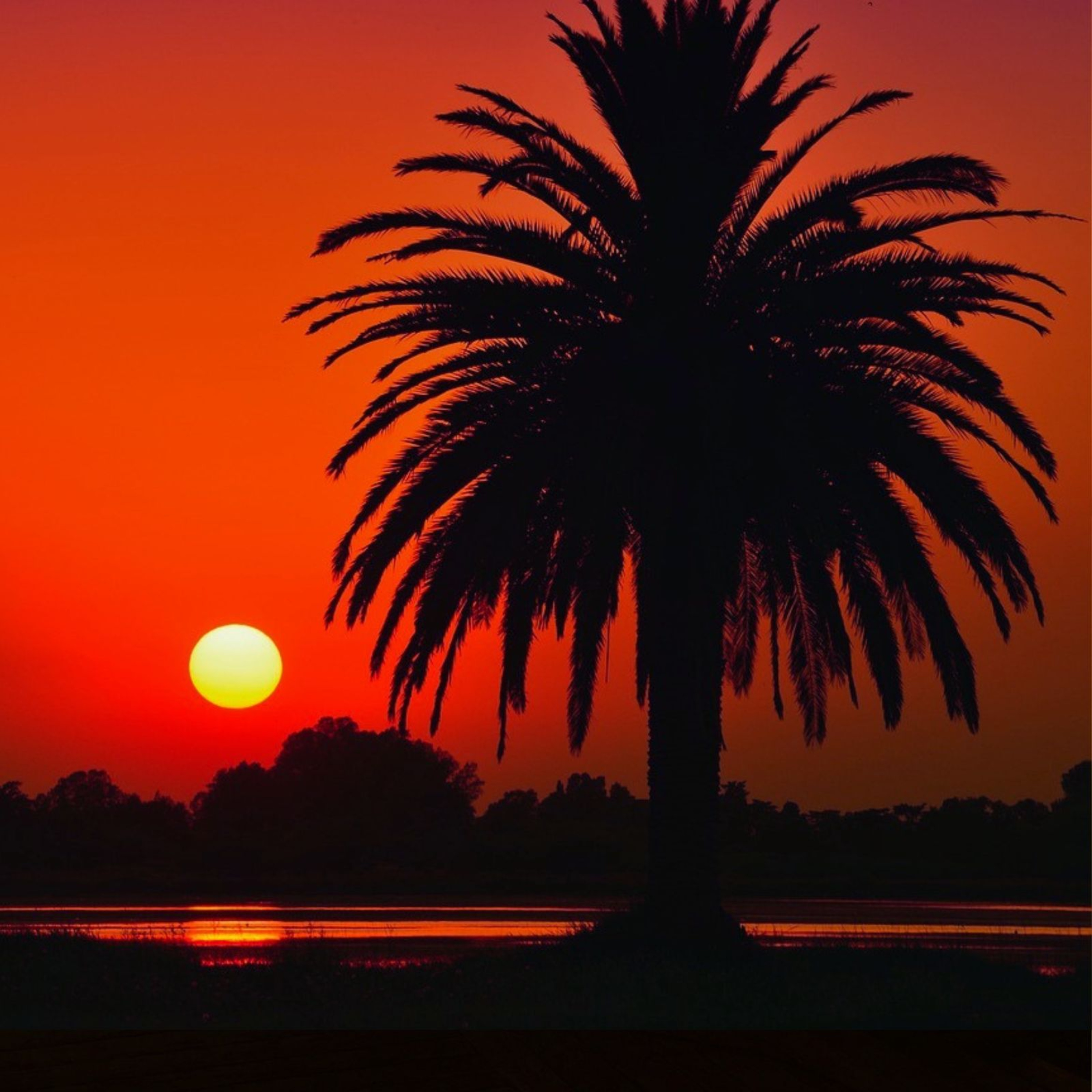 Hypnose & Sommeil - Le podcast de Catherine Paquet