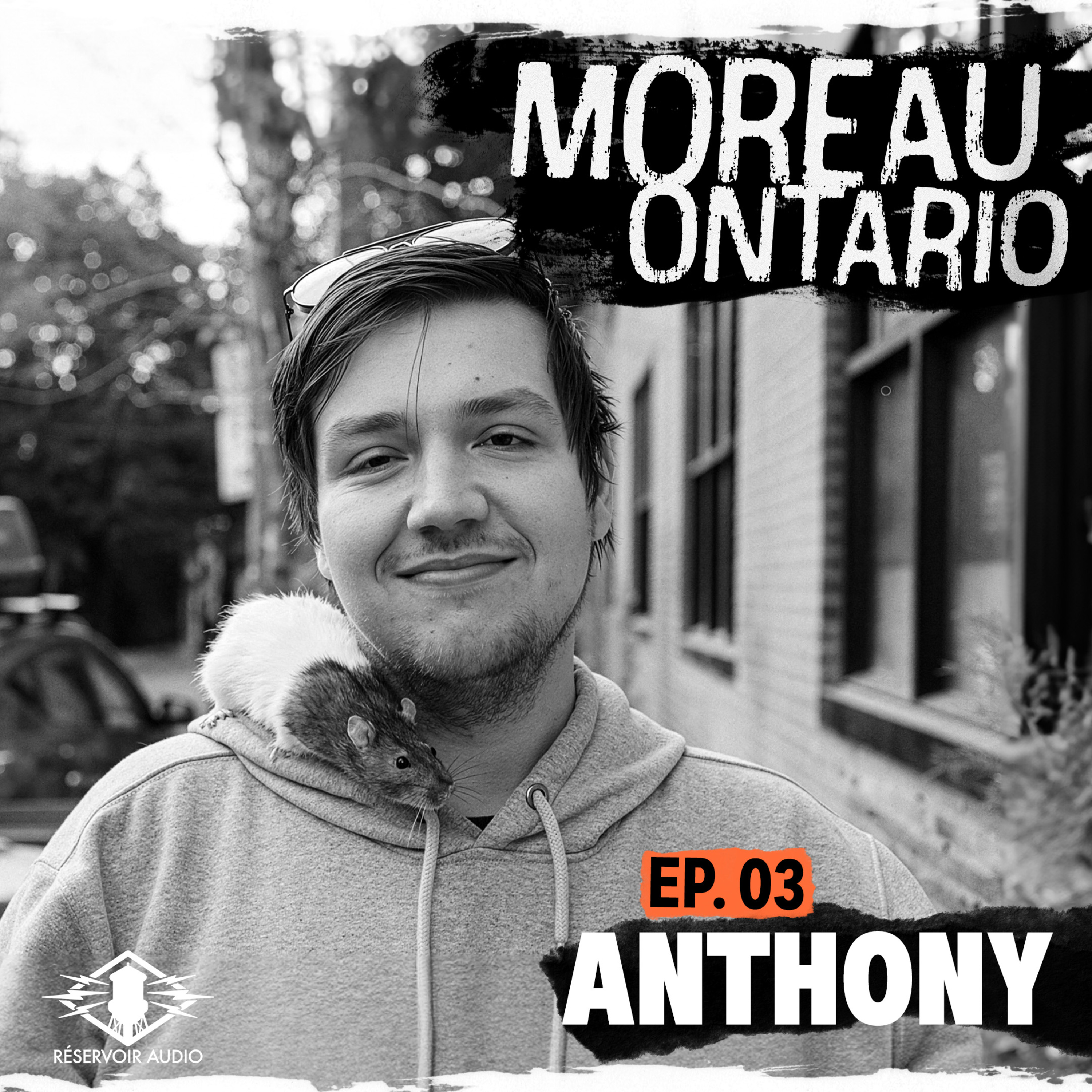 3. Anthony episode artwork