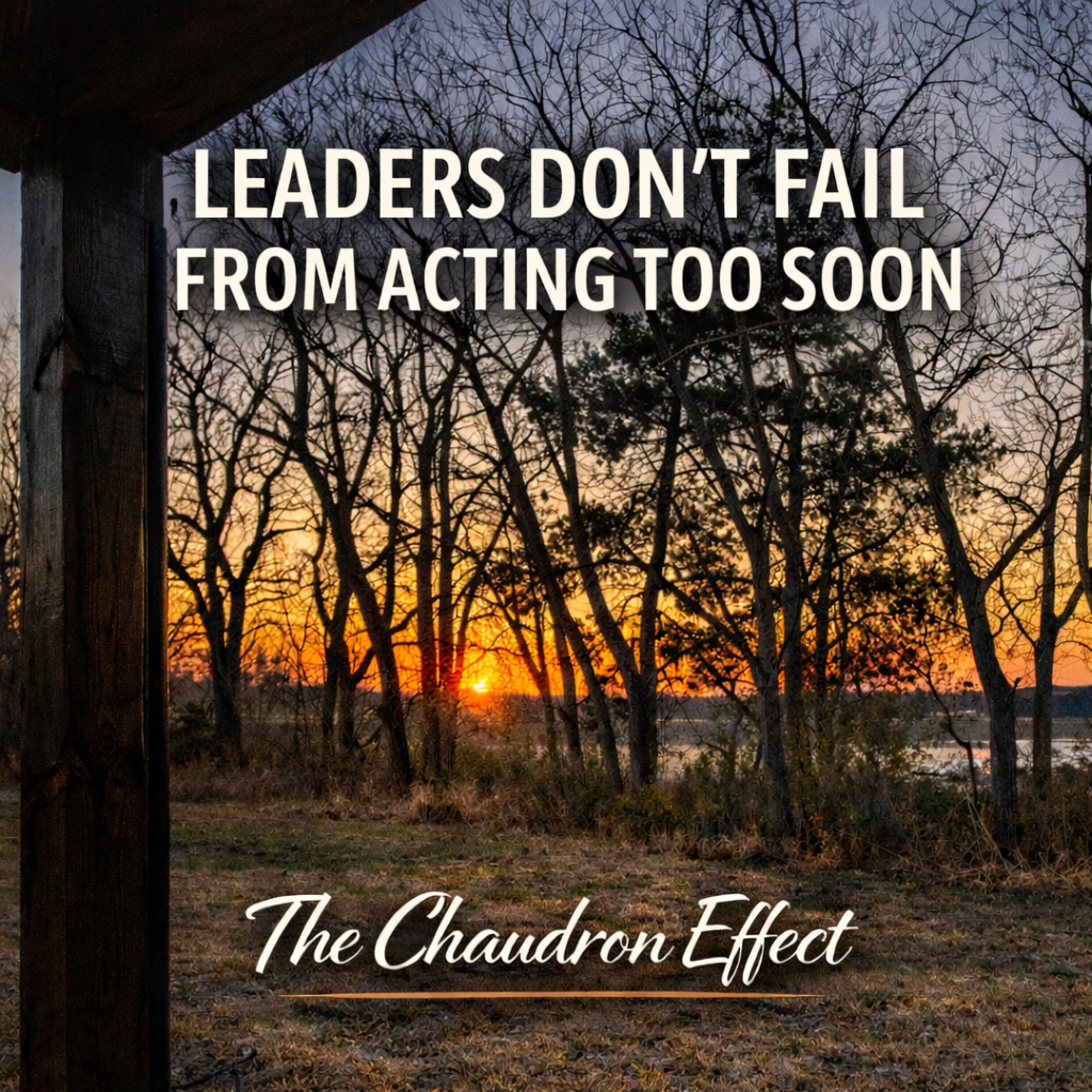 Leaders Don't Fail From Acting Too Soon episode artwork