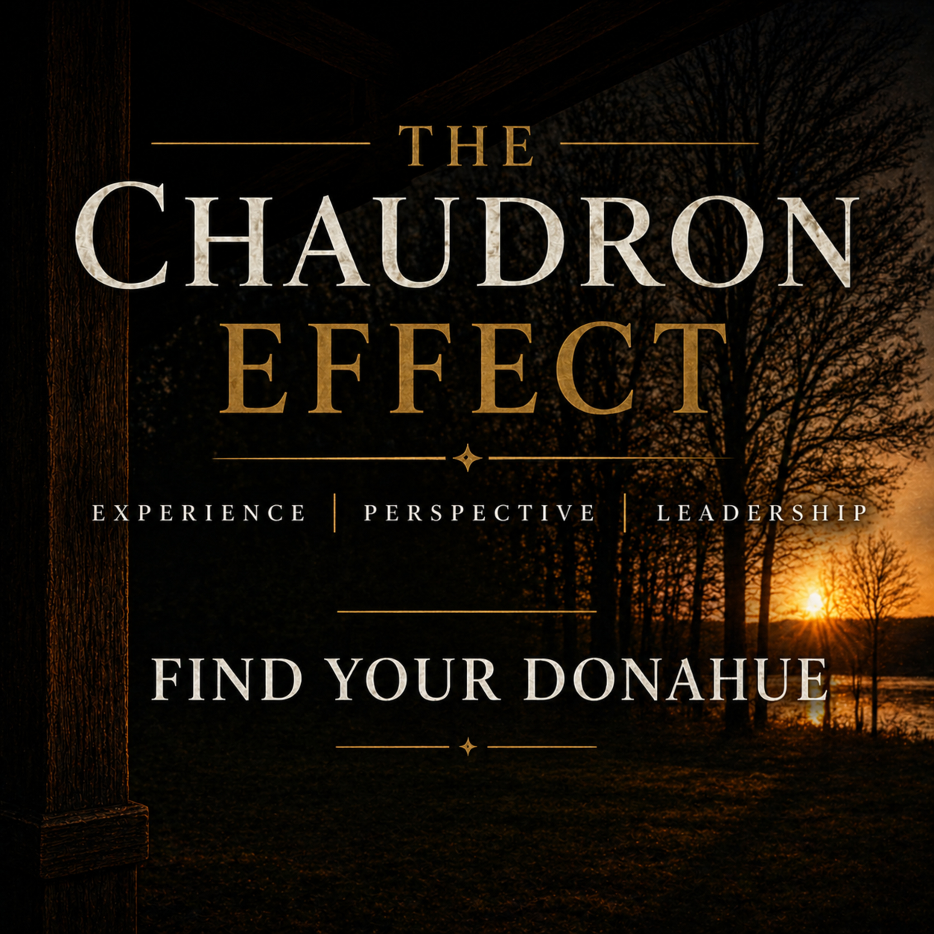Find Your Donahue episode artwork