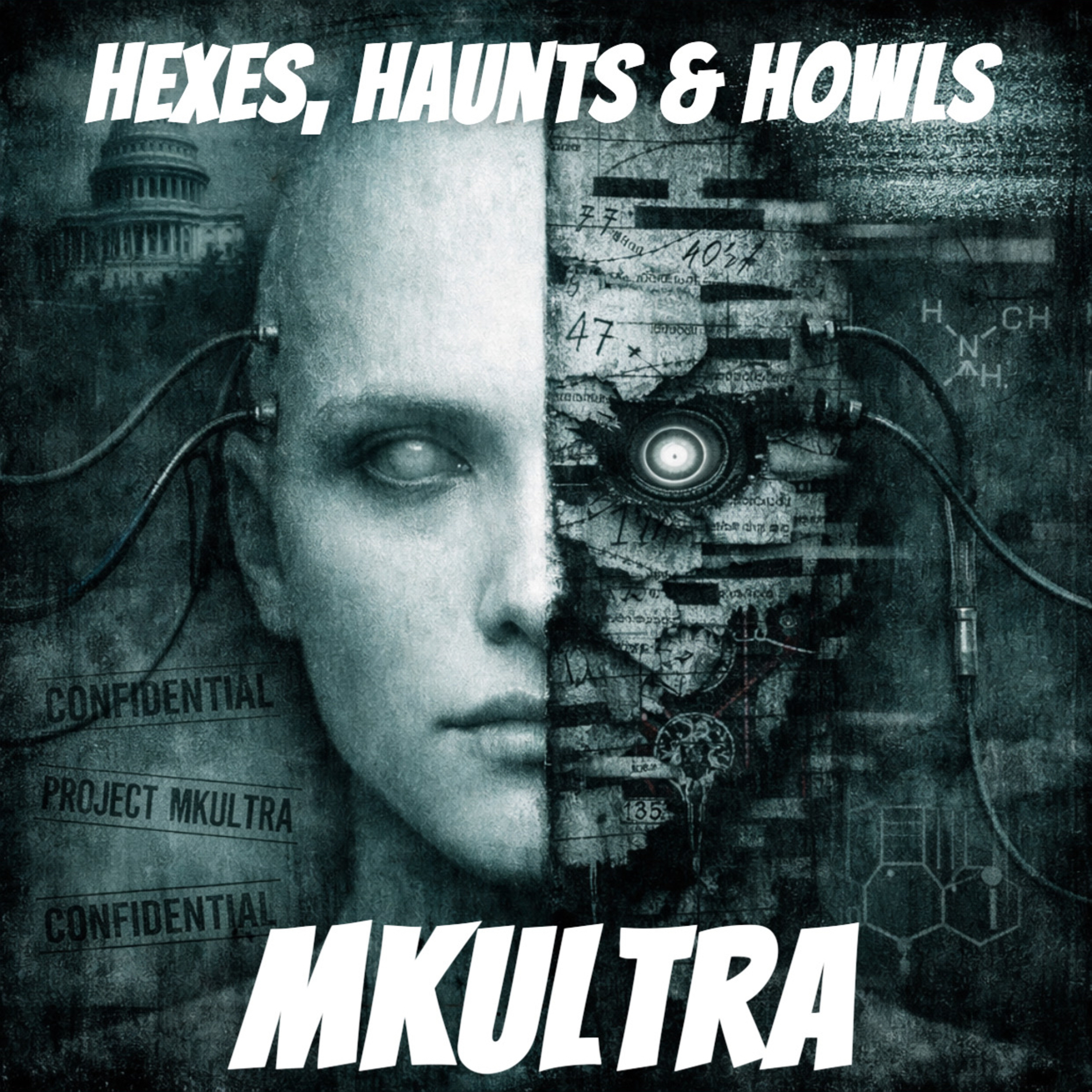 MKUltra - Stars, Stripes, and Secrets episode artwork