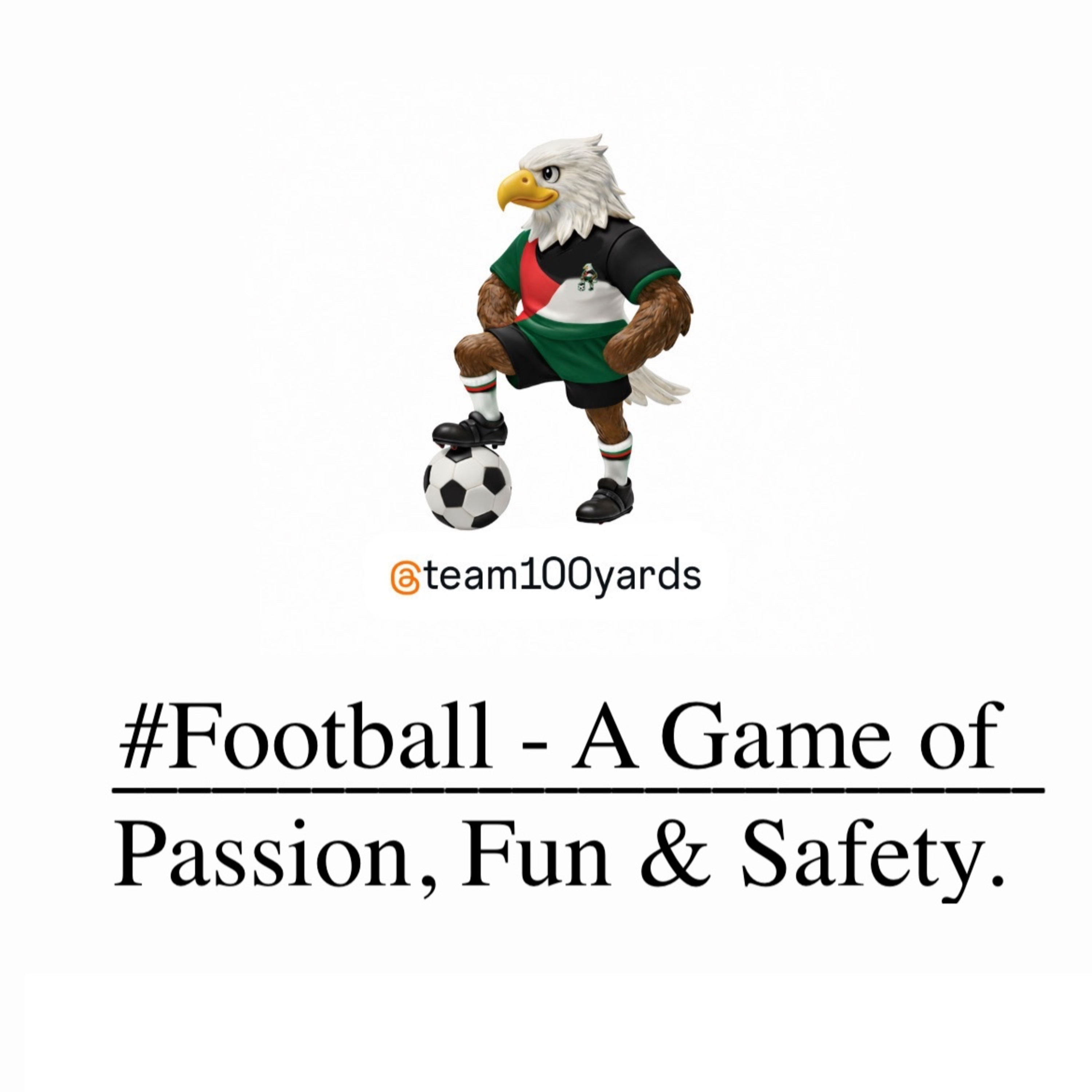 A Game of Passion, Fun & Safety.  episode artwork