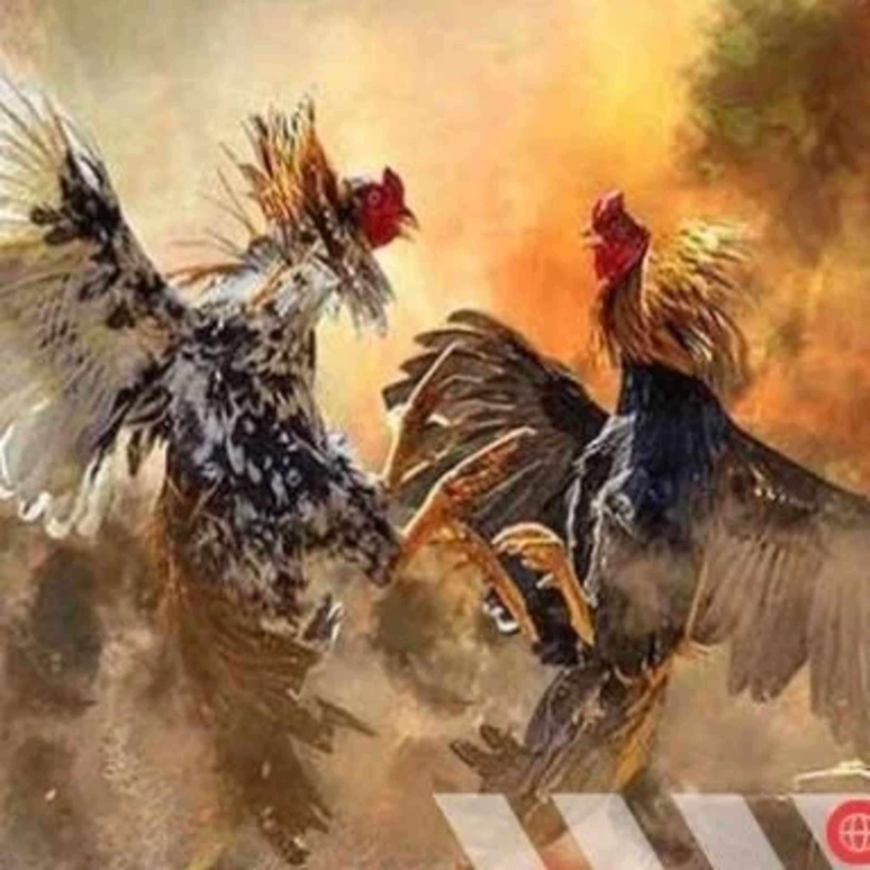   Nuôi gà cựa sắt khỏe - Bí quyết tạo ra những chiến binh mạnh mẽ episode artwork