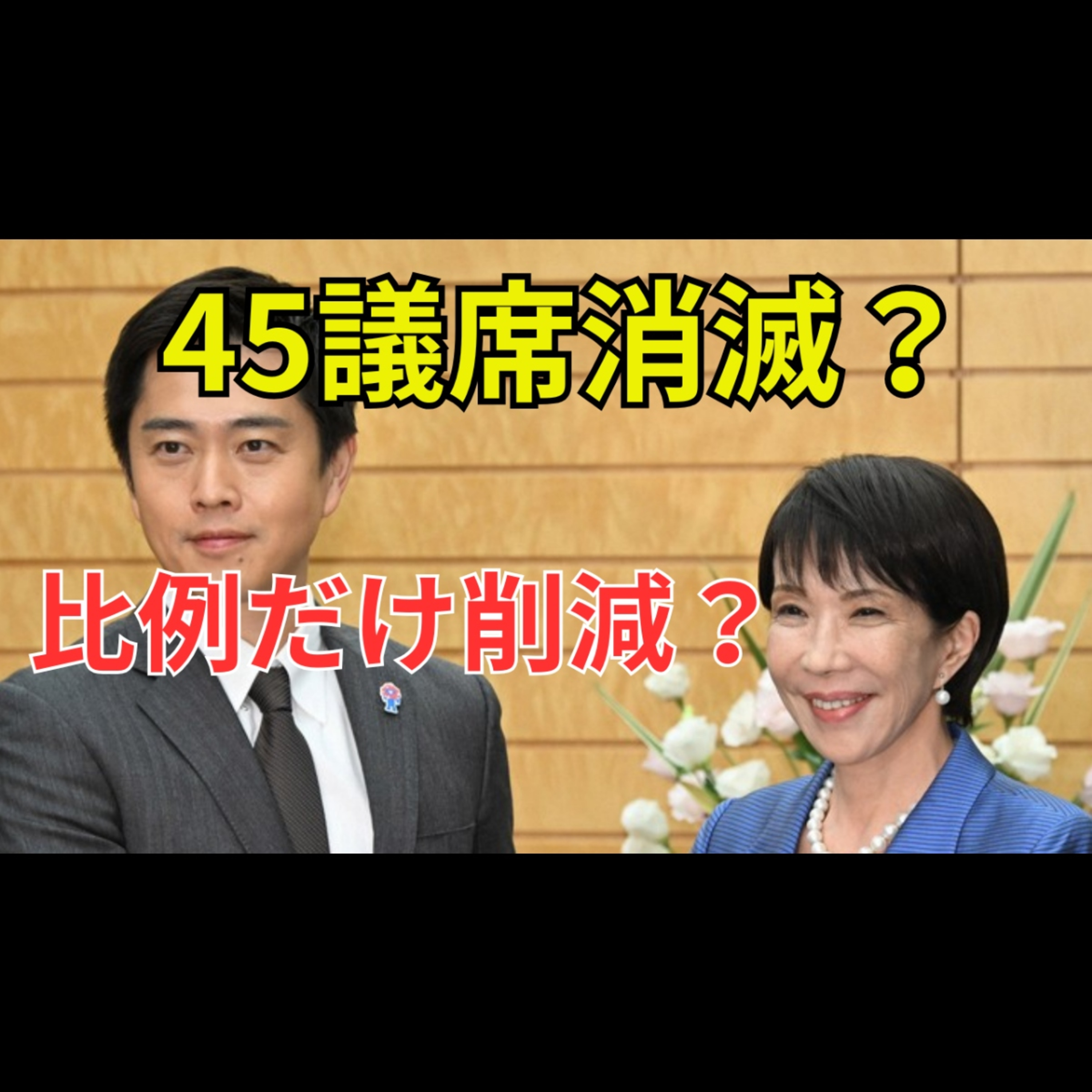 比例45議席削減と国会議員713人の現実 自民党と日本維新の会の再提出案は妥当か episode artwork