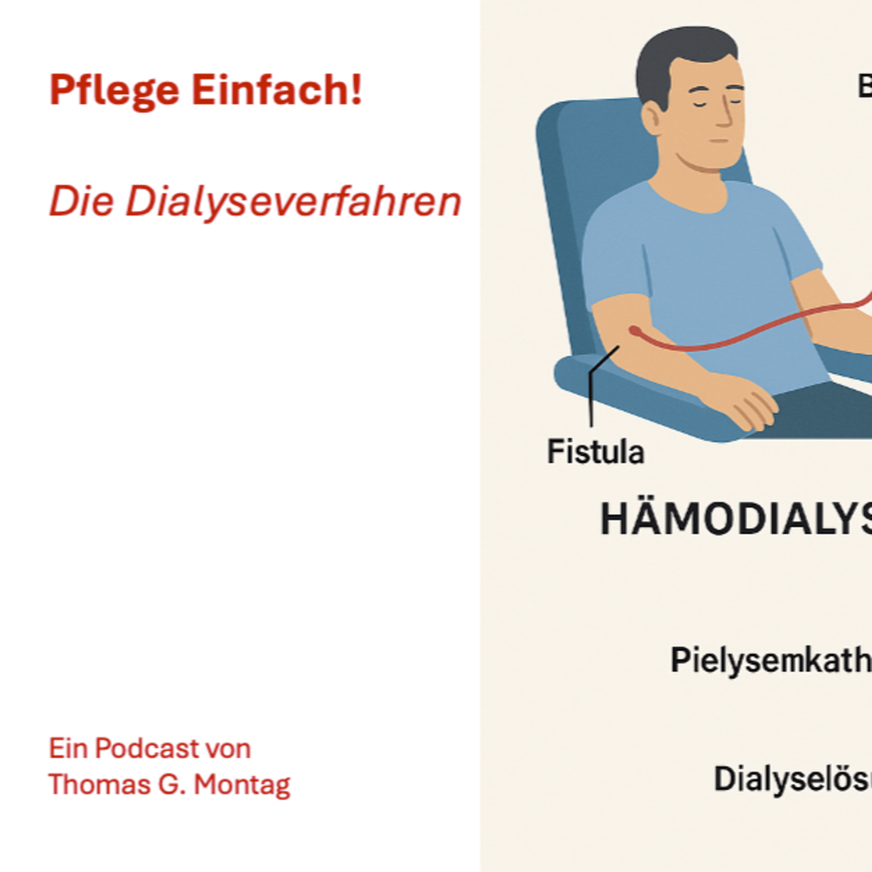 Bildung Einfach! Der Podcast®