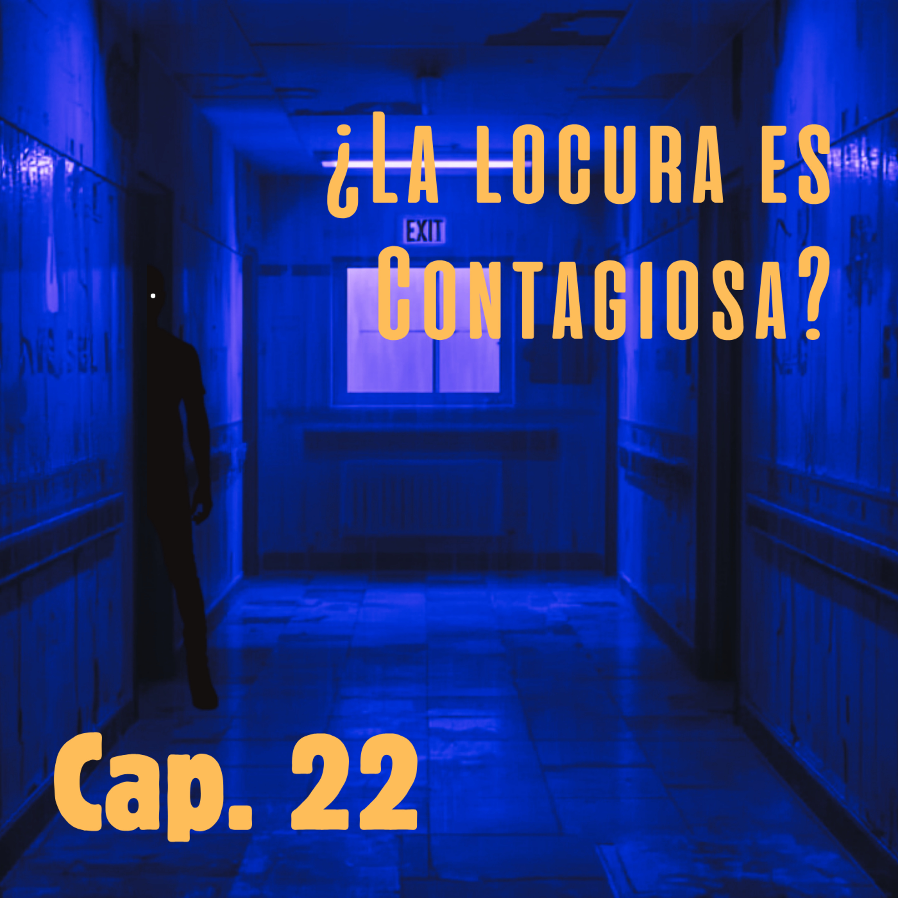 La Historia del Loco - Capítulo 22 | Audiolibro de suspenso psicológico para dormir
