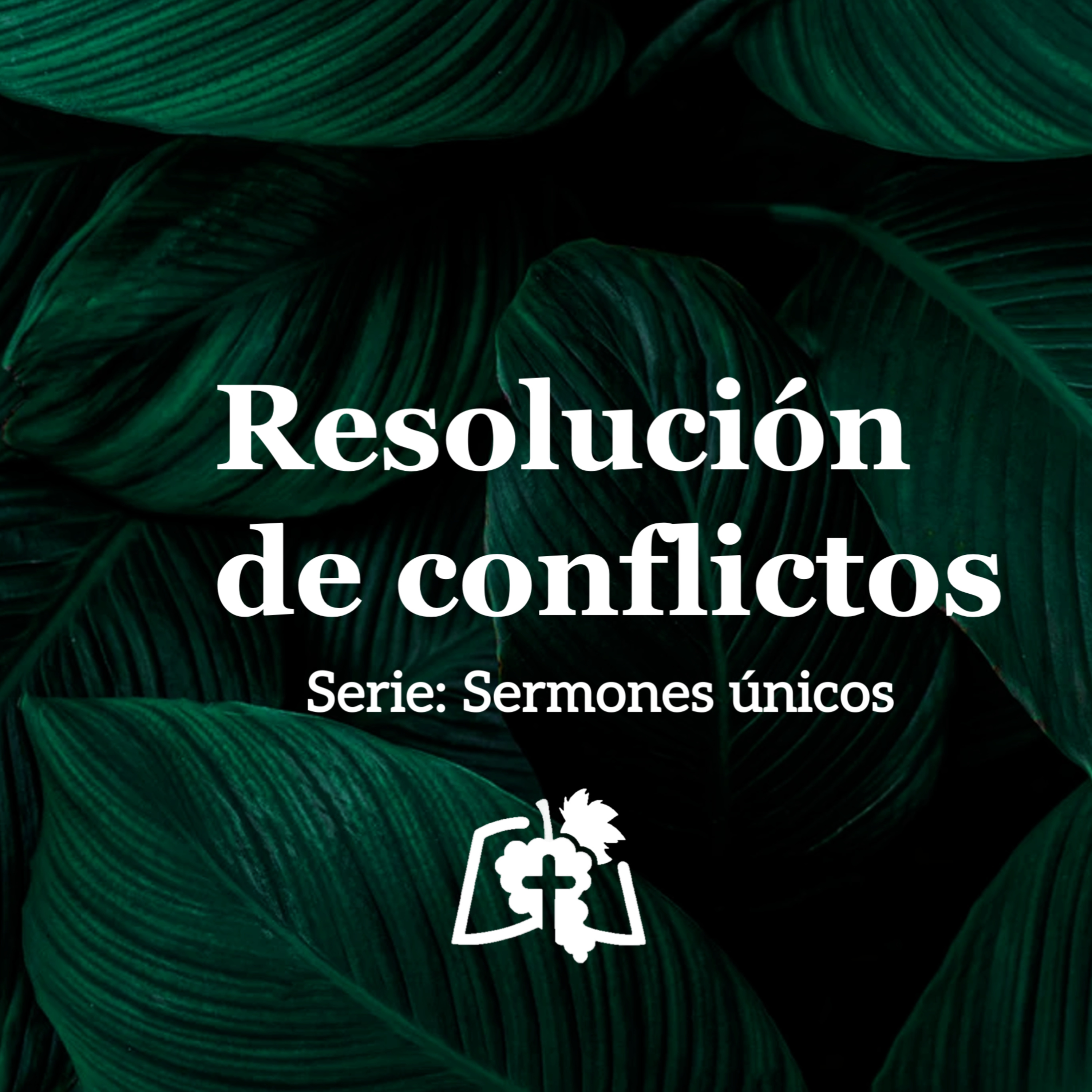 Resolución de conflictos (Mateo 18:15-20)