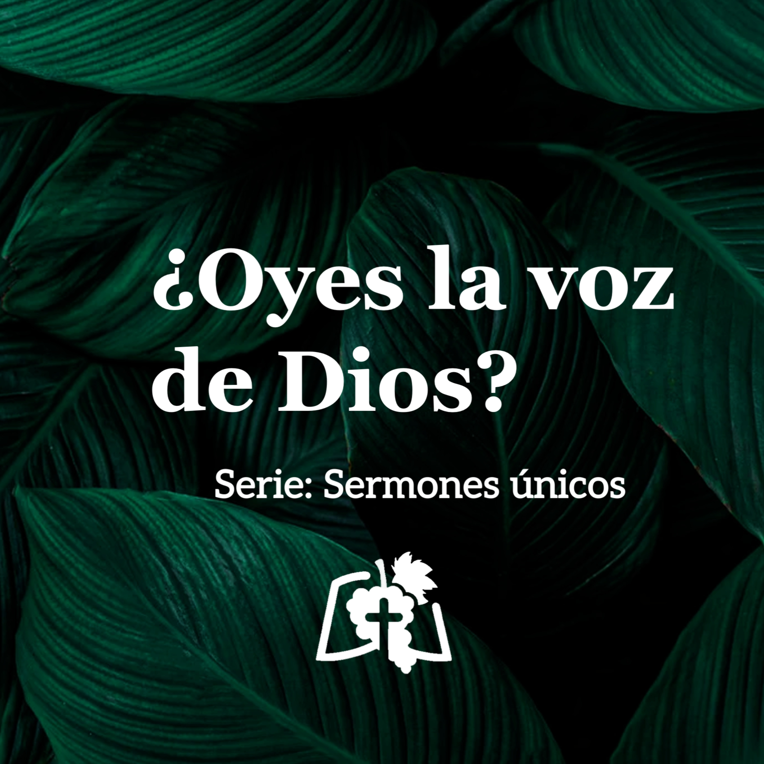 ¿Oyes la voz de Dios? La importancia de la exhortación mutua en la fe | Hebreos 3:7-19