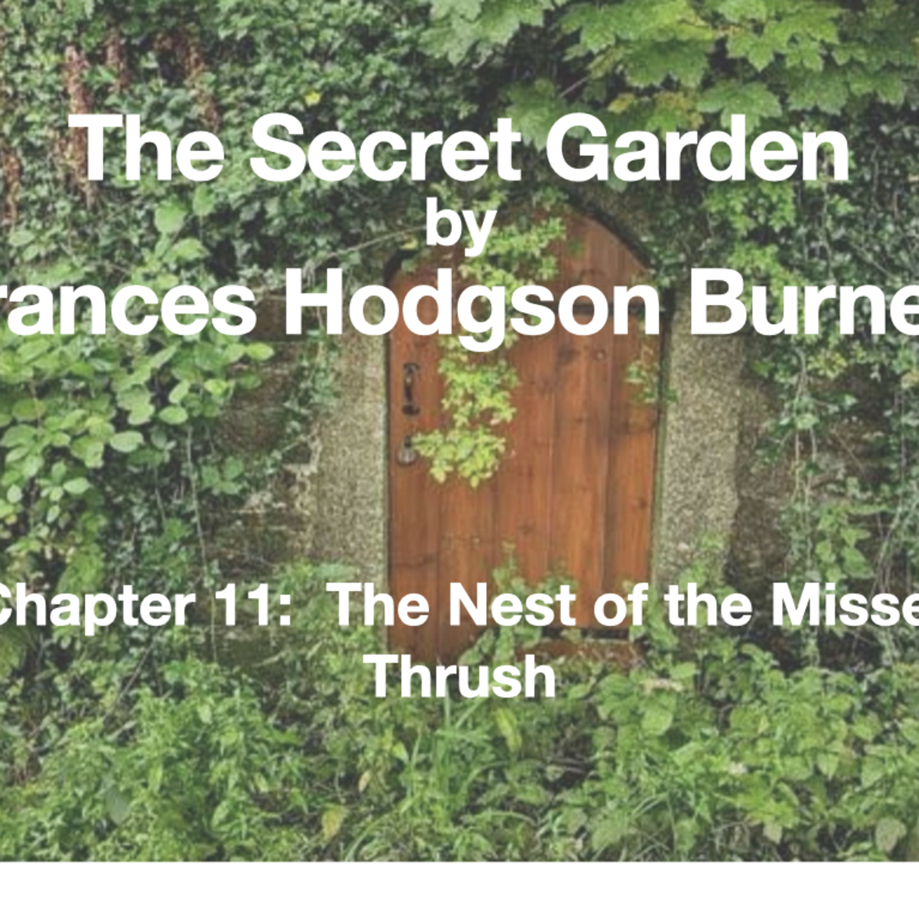 Chapter 11: The Secret Garden episode artwork