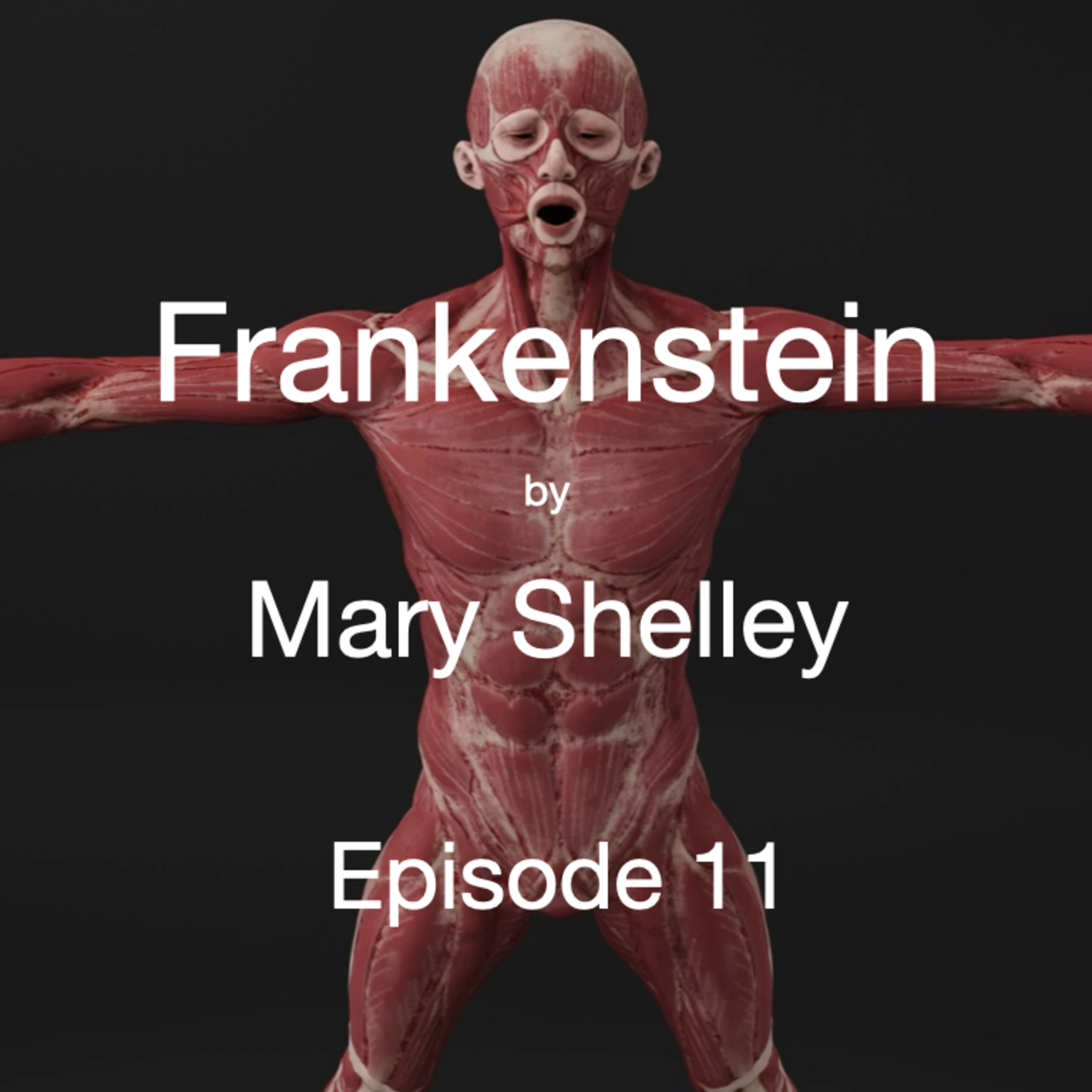 Episode 11: Frankenstein, Volume 2, Chapter 8 and Volume 3, Chapter 1 episode artwork