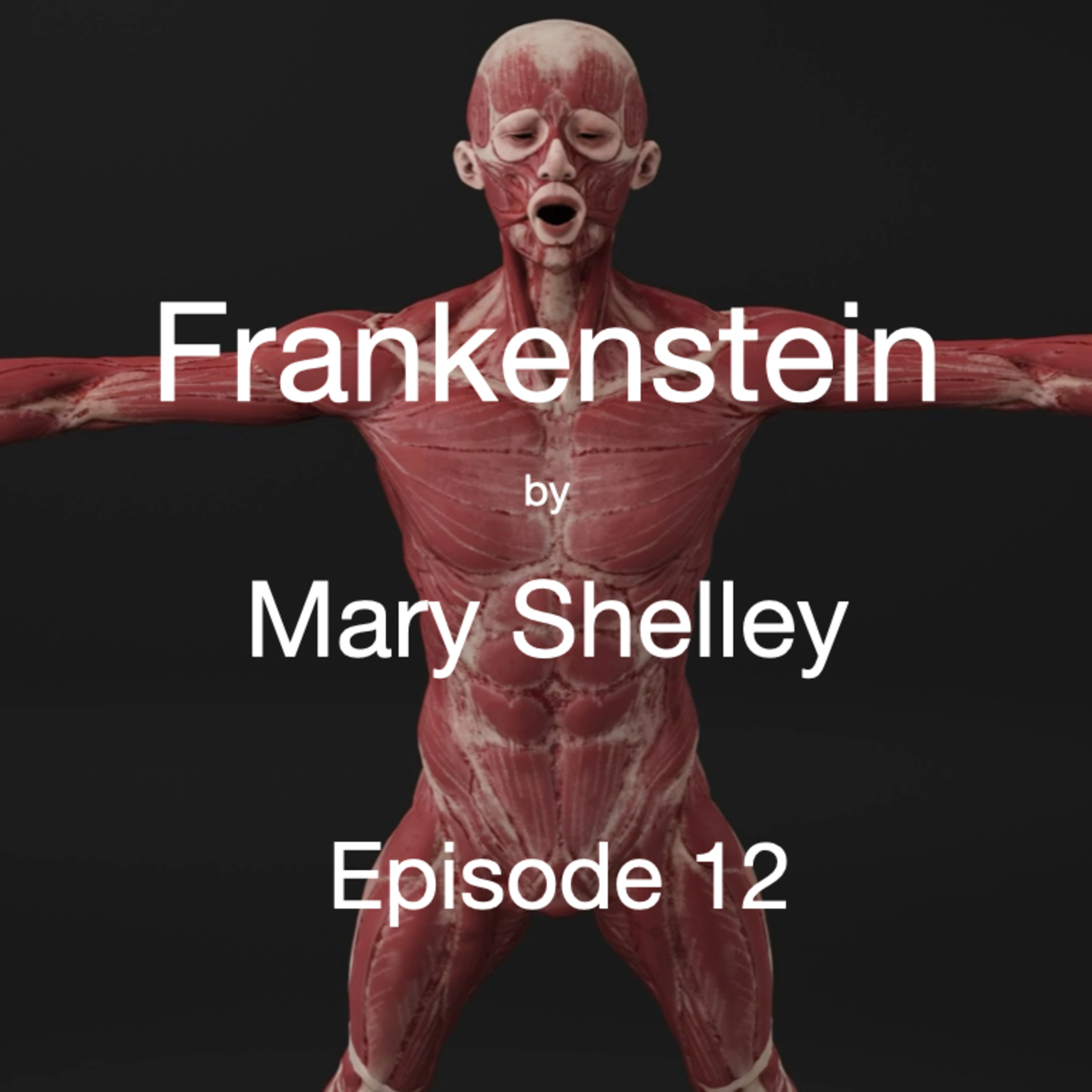 Episode 12: Frankenstein, Volume 3, Chapters 2 & 3 episode artwork