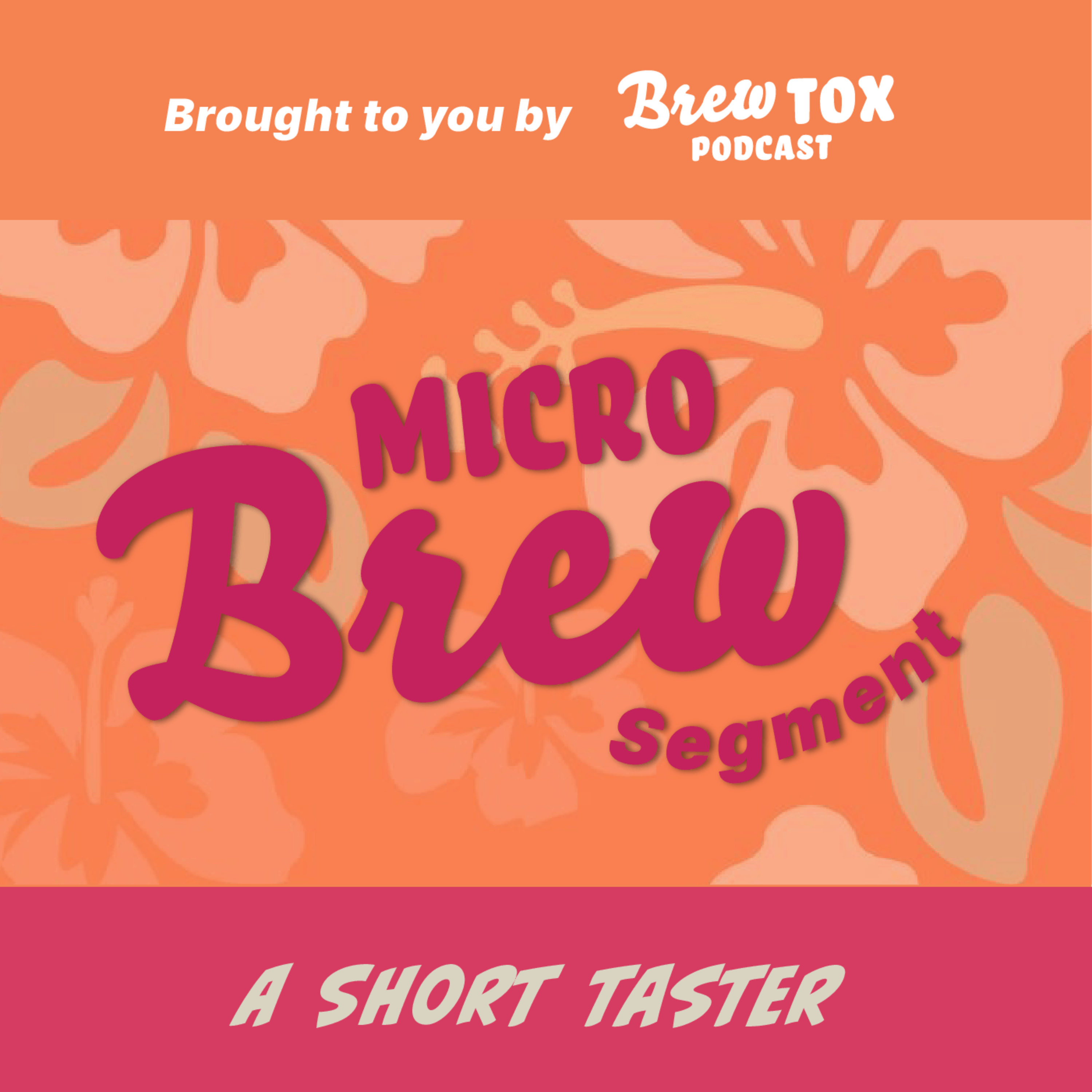 MicroBrew-4: Stella Artois 0.0 from Hawaii episode artwork