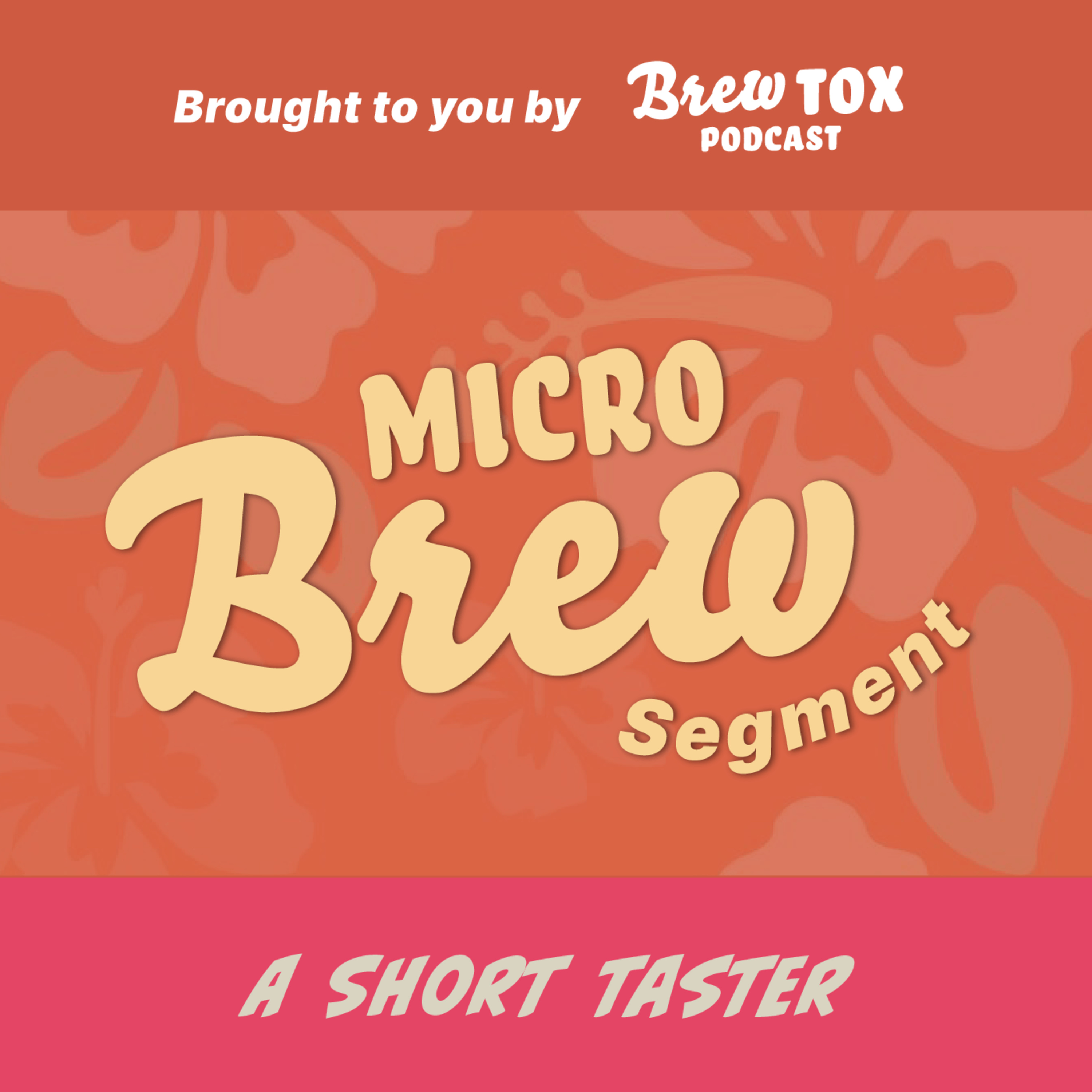 MicroBrew-8: Modelo Cero Dorada tasting in Huatulco Mexico episode artwork