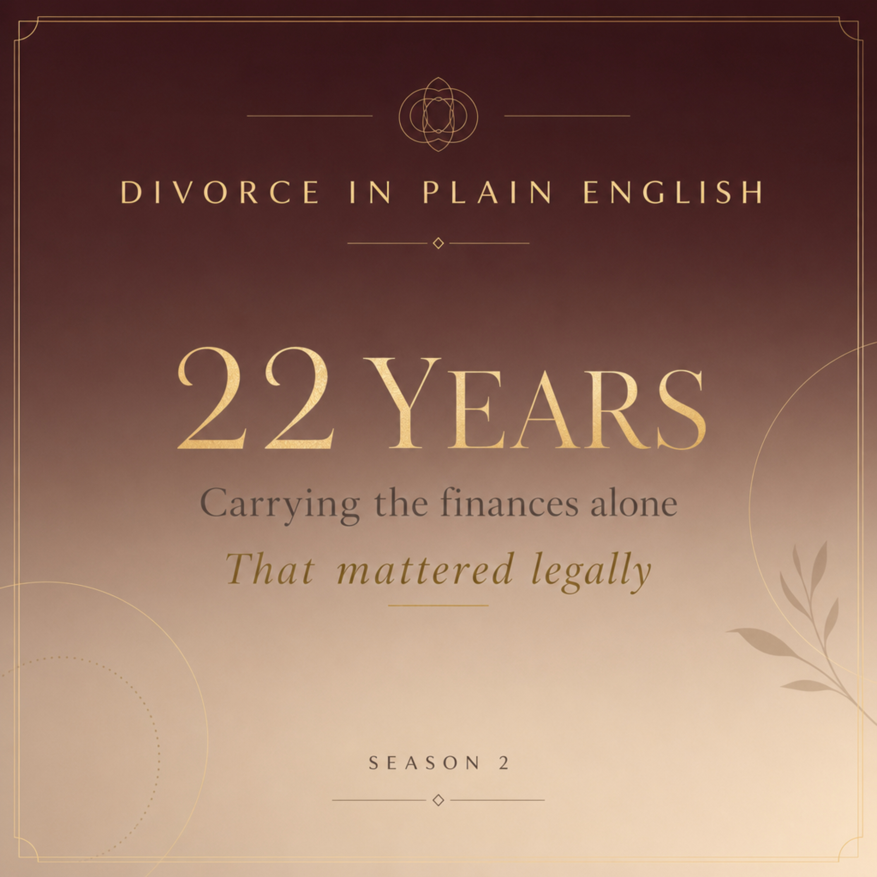 What I did for 22 years had legal weight in my divorce I just never knew | Divorce in Plain English episode artwork