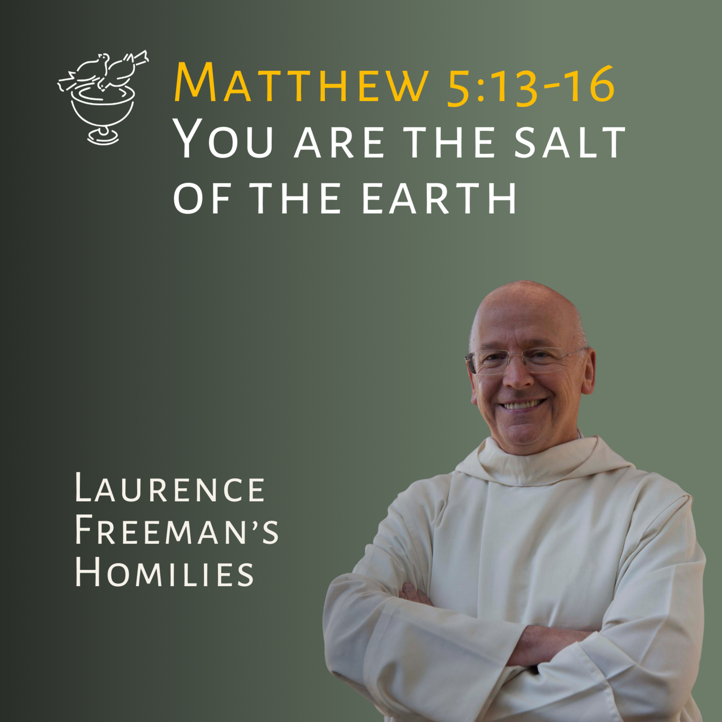 You are the salt of the earth episode artwork