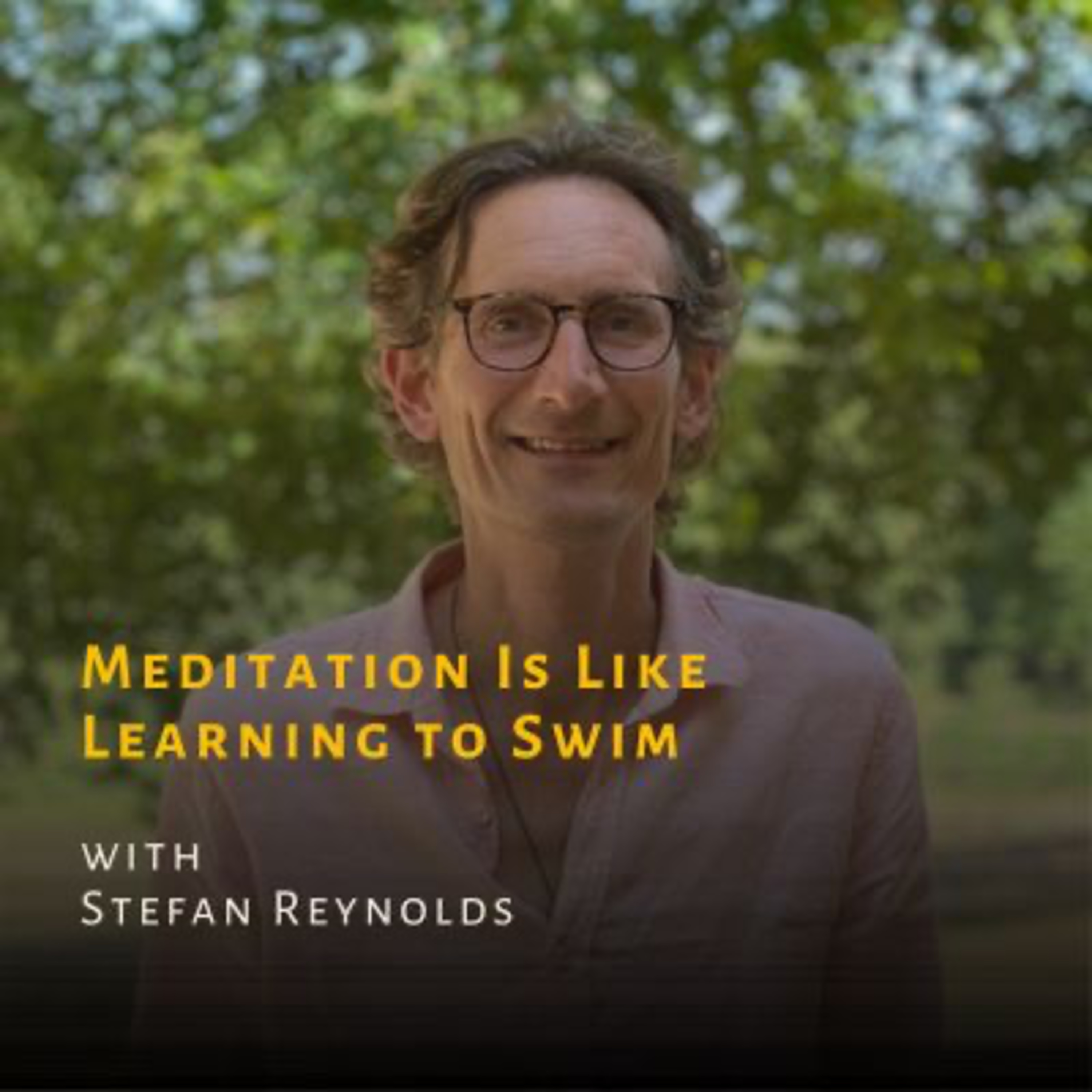 Meditation Is Like Learning to Swim with Stefan Reynolds episode artwork