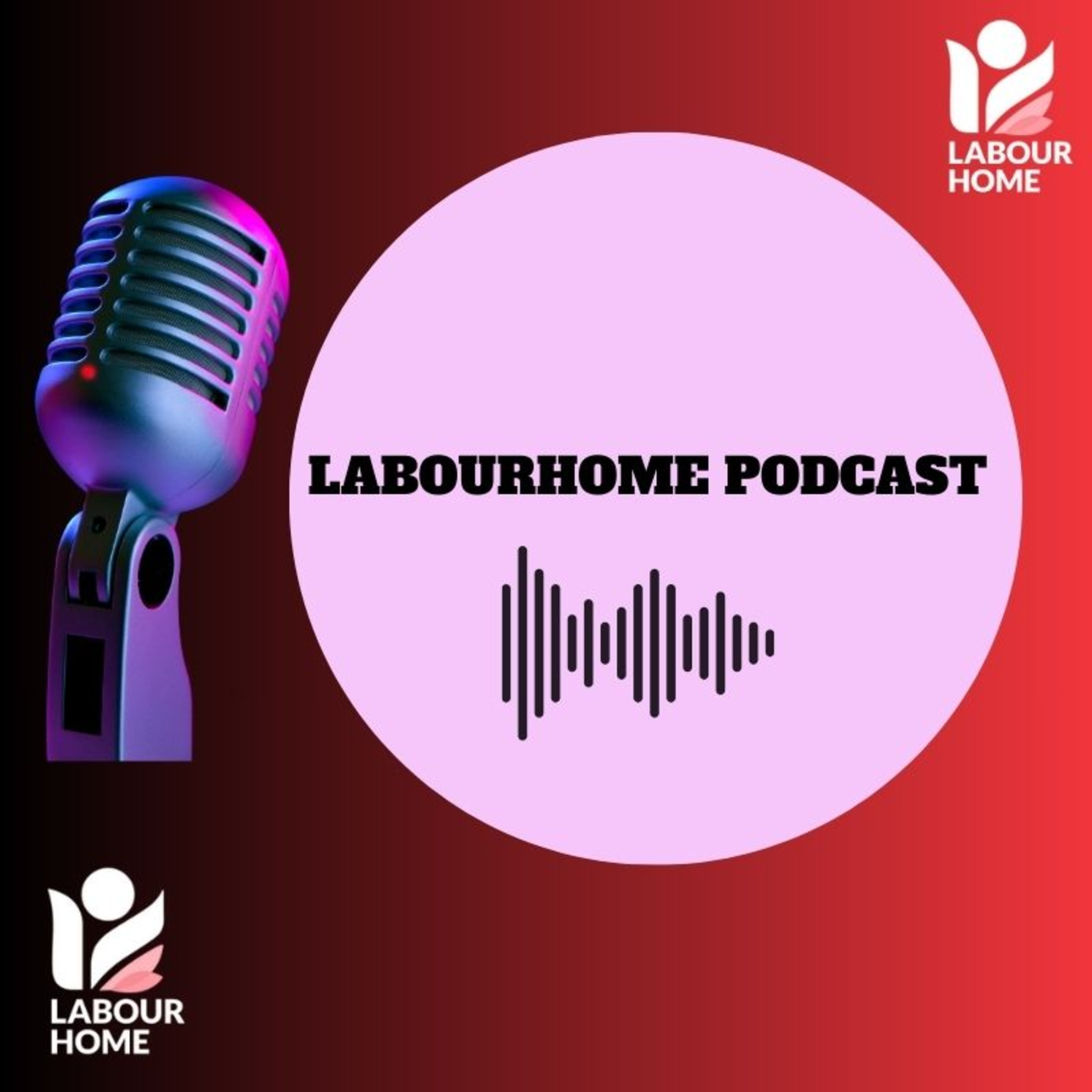 Labour Home Podcast Series: Episode 1 Labour Home Podcast Humans of Westminster with Suzy Stride  episode artwork