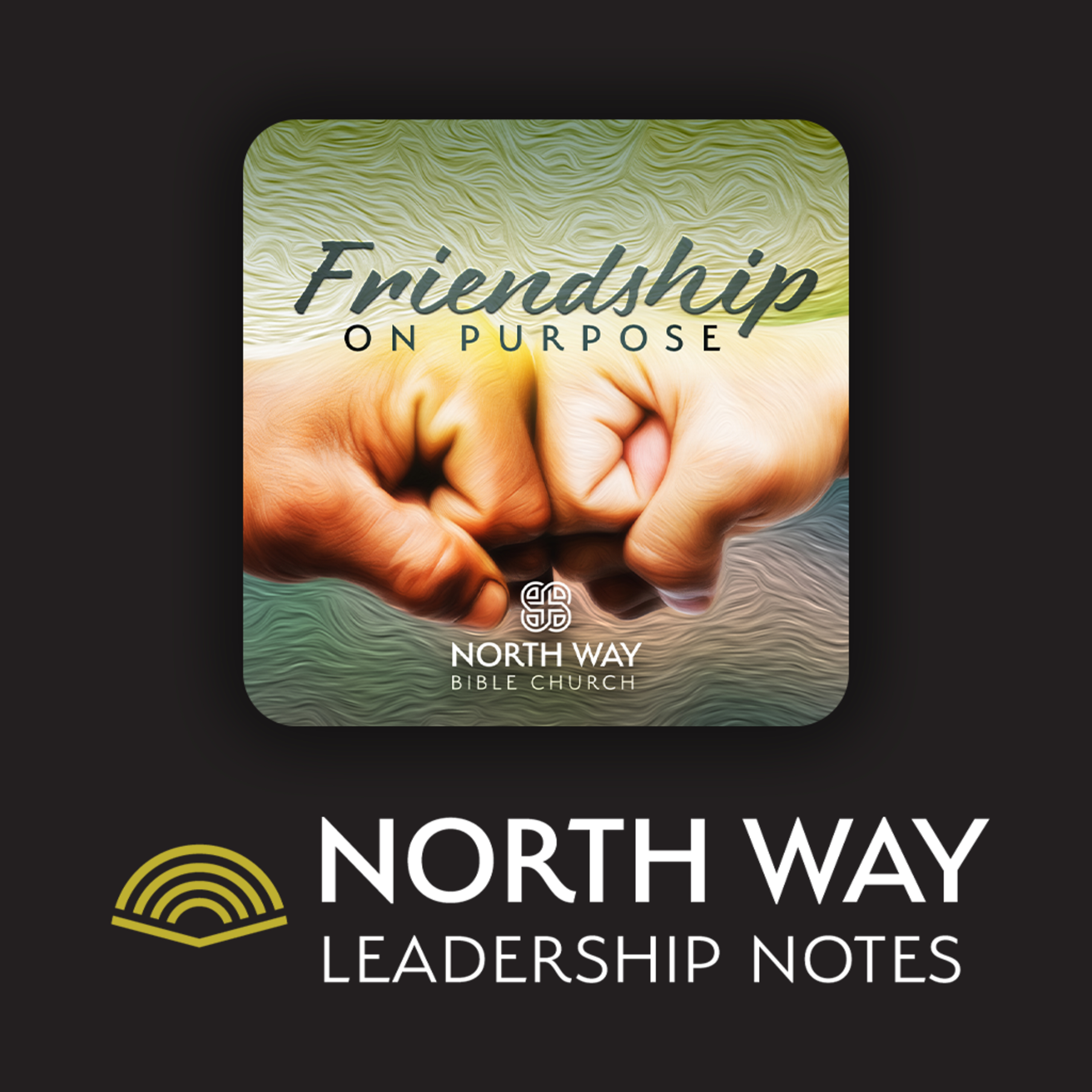 The Challenge of Building Healthy Friendship - North Way Leadership Notes episode artwork