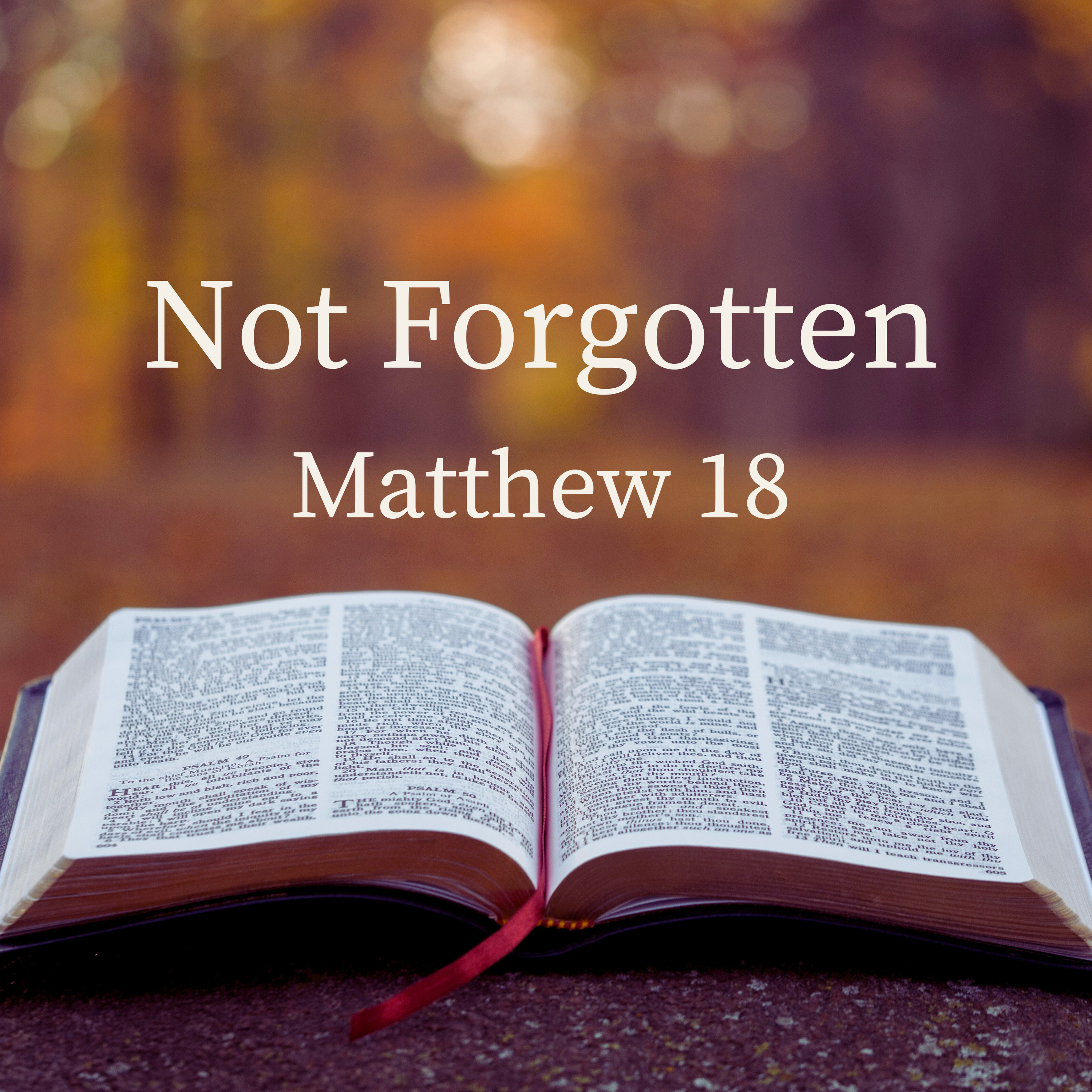 Feeling Lost? | Matthew 18:10–14