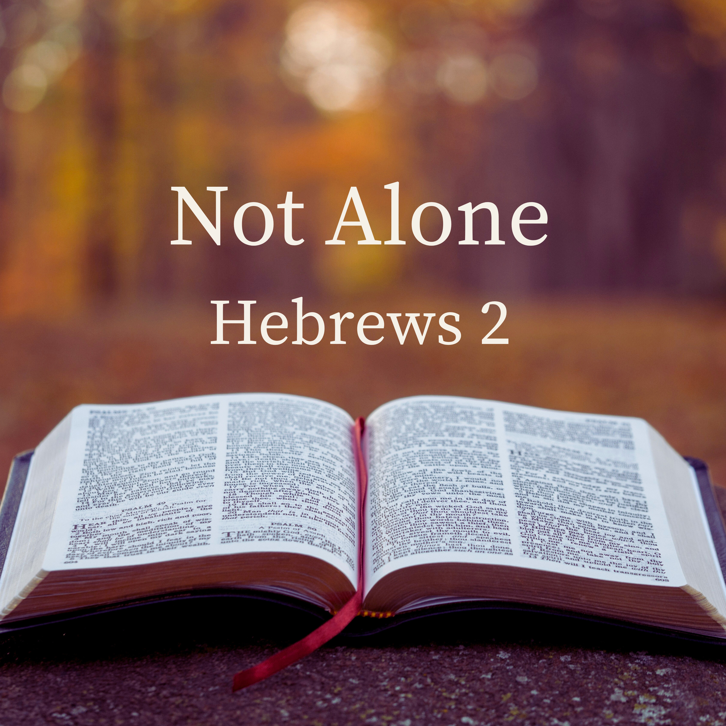 Jesus Understands | Hebrews 2:10–18 episode artwork