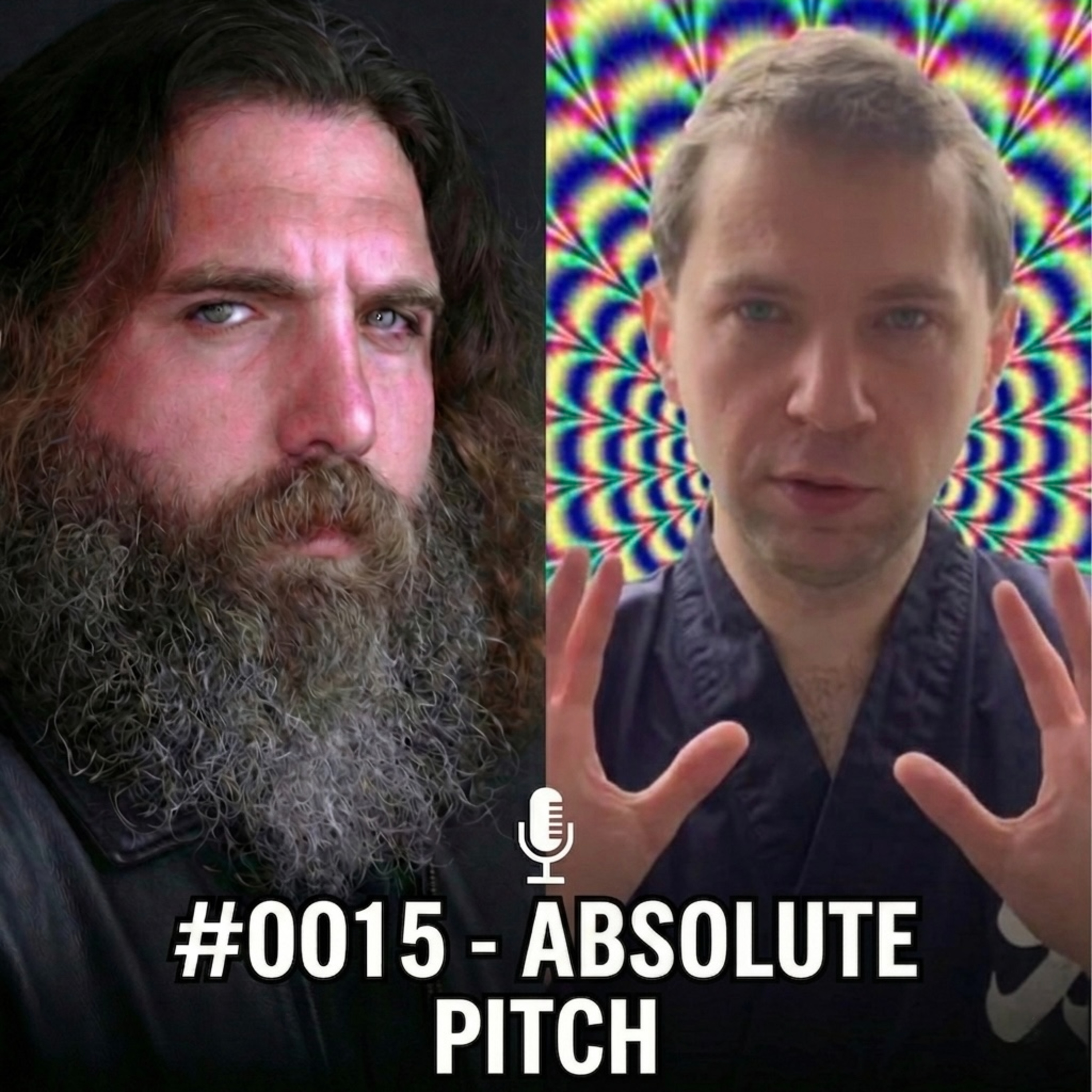 0015 - absolute pitch (Physics) - F. Gardner (Horror Novelist) episode artwork