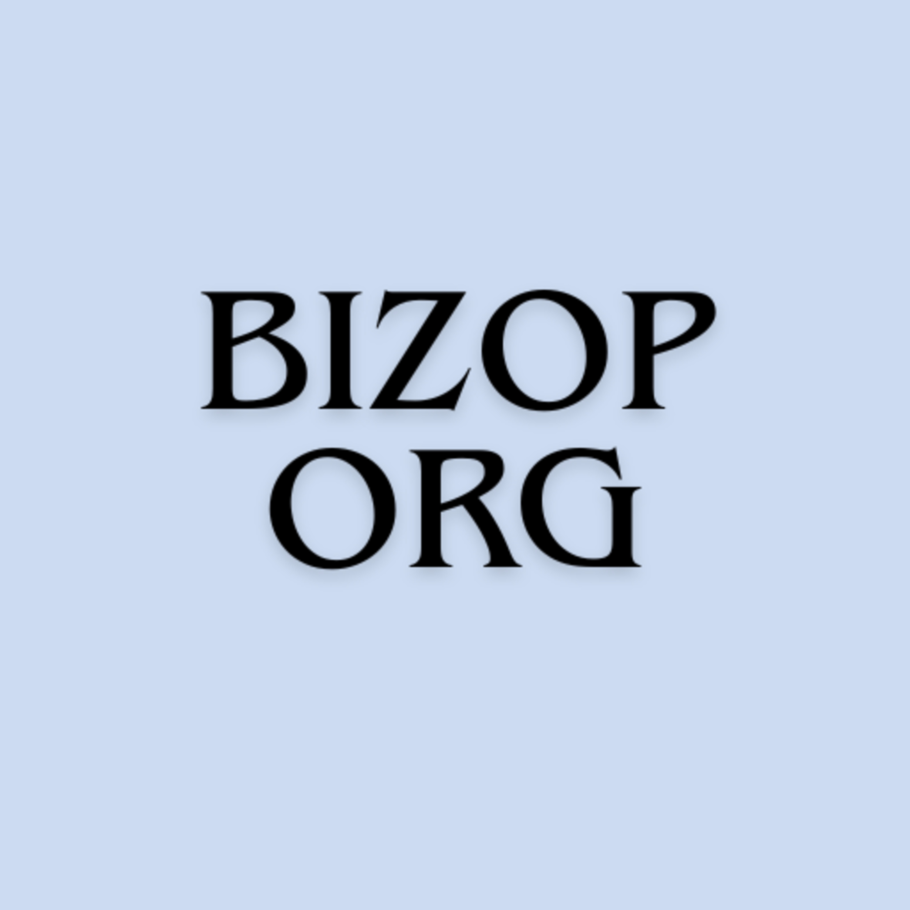 Bizop Org Profitable Startups episode artwork