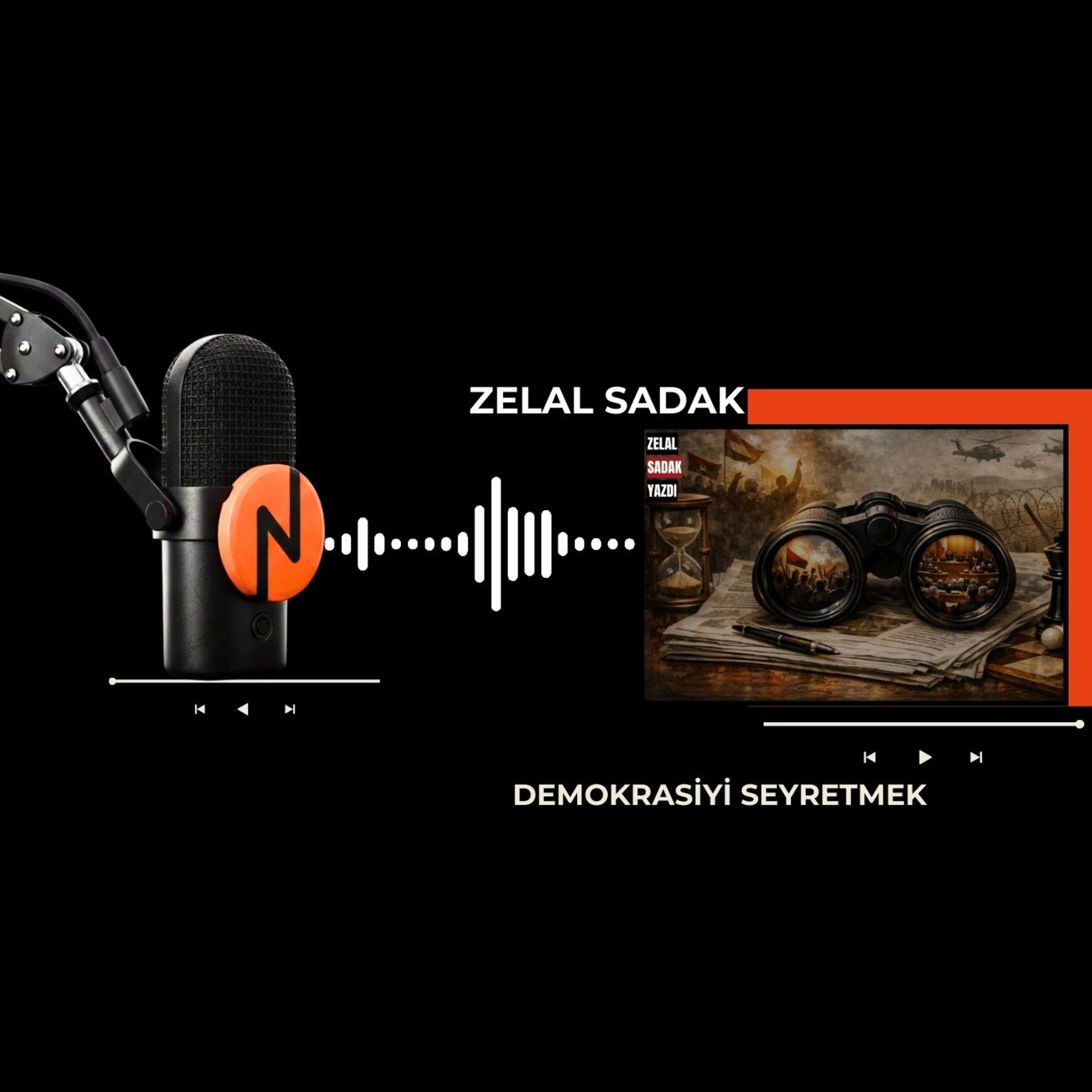 Zelal SADAK - Demokrasiyi seyretmek