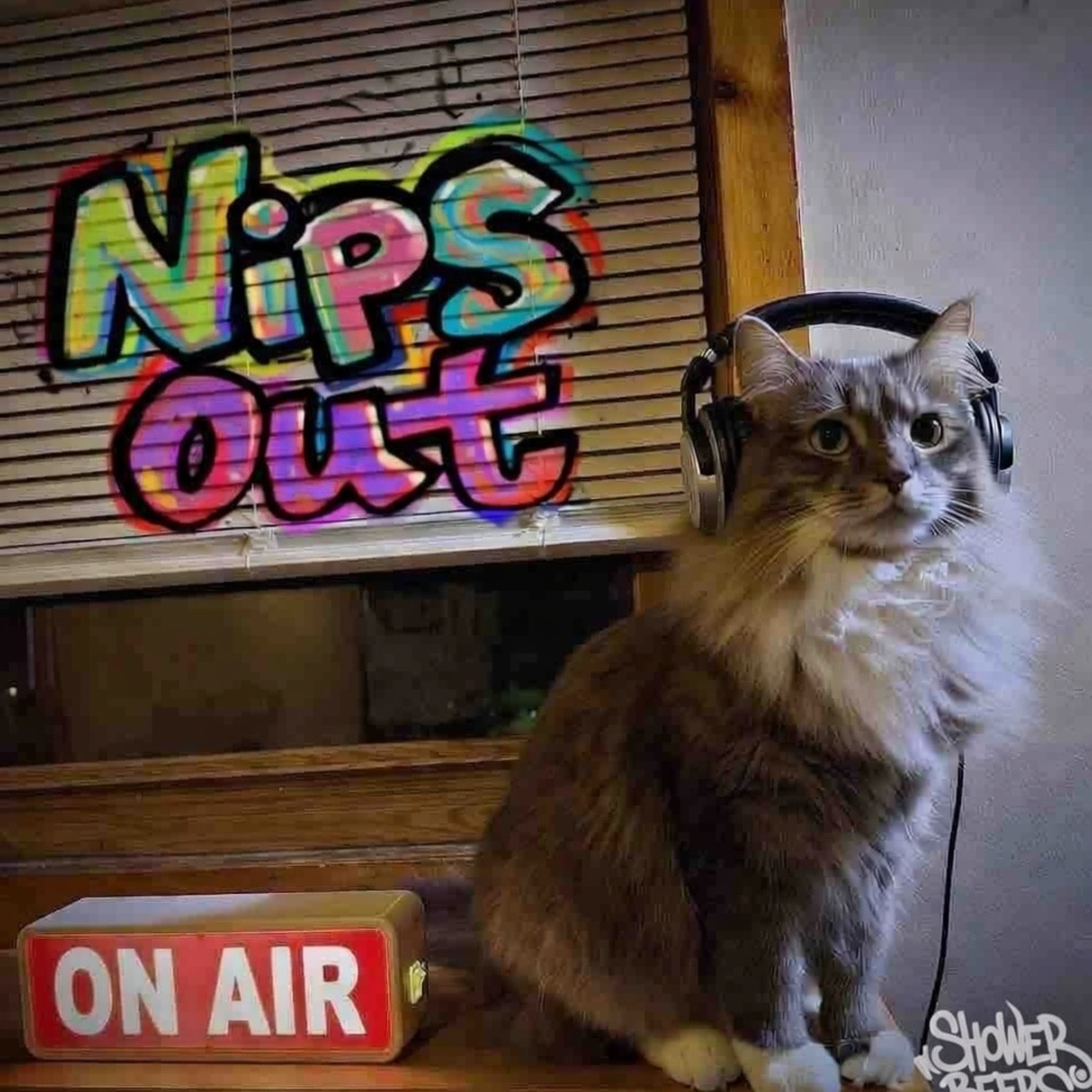 Nips Out episode artwork