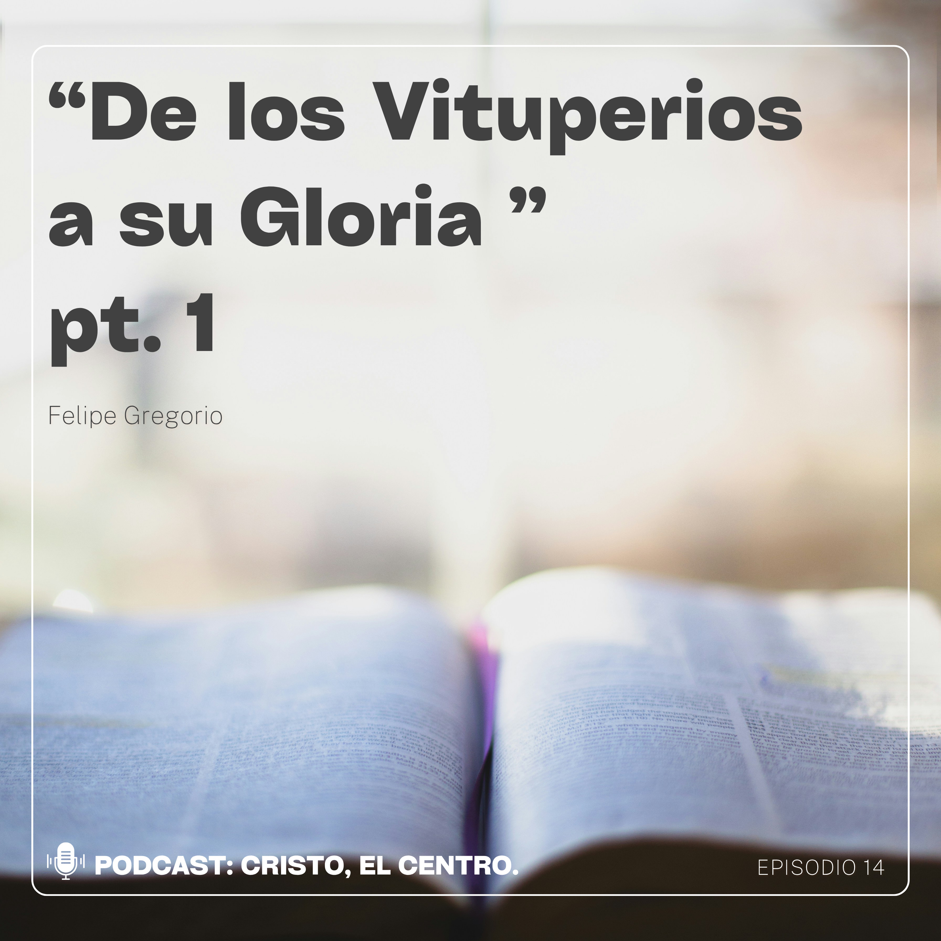 Ep. 14  "De los Vituperios a su Gloria" pt. 1 episode artwork