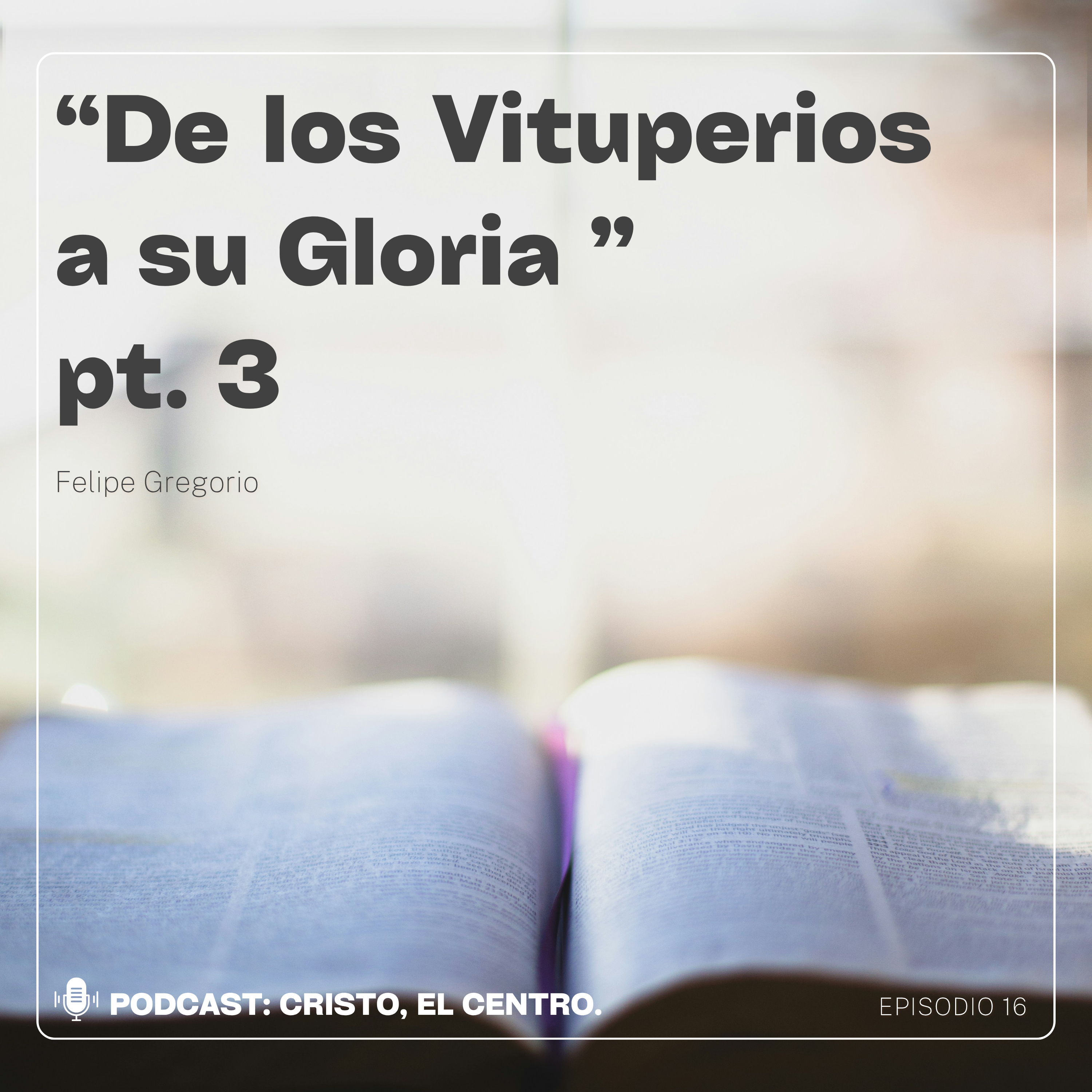 Ep. 16 "De los Vituperios a su Gloria" pt. 3 episode artwork