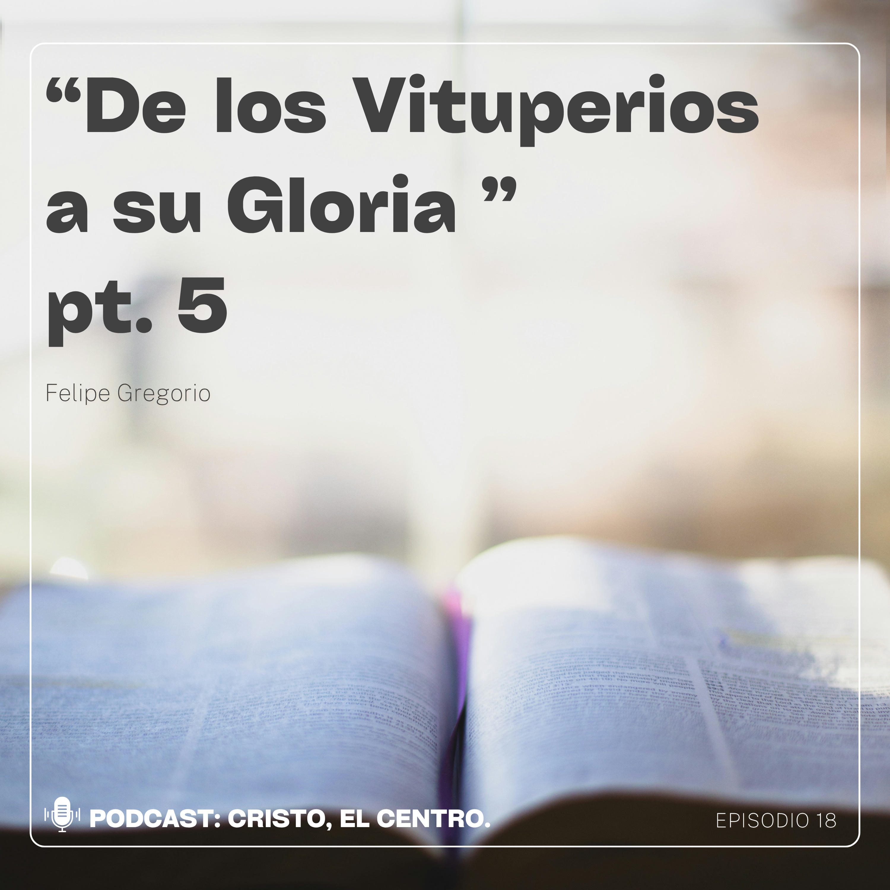 Ep. 18 "De los Vituperios a su Gloria" pt. 5 episode artwork