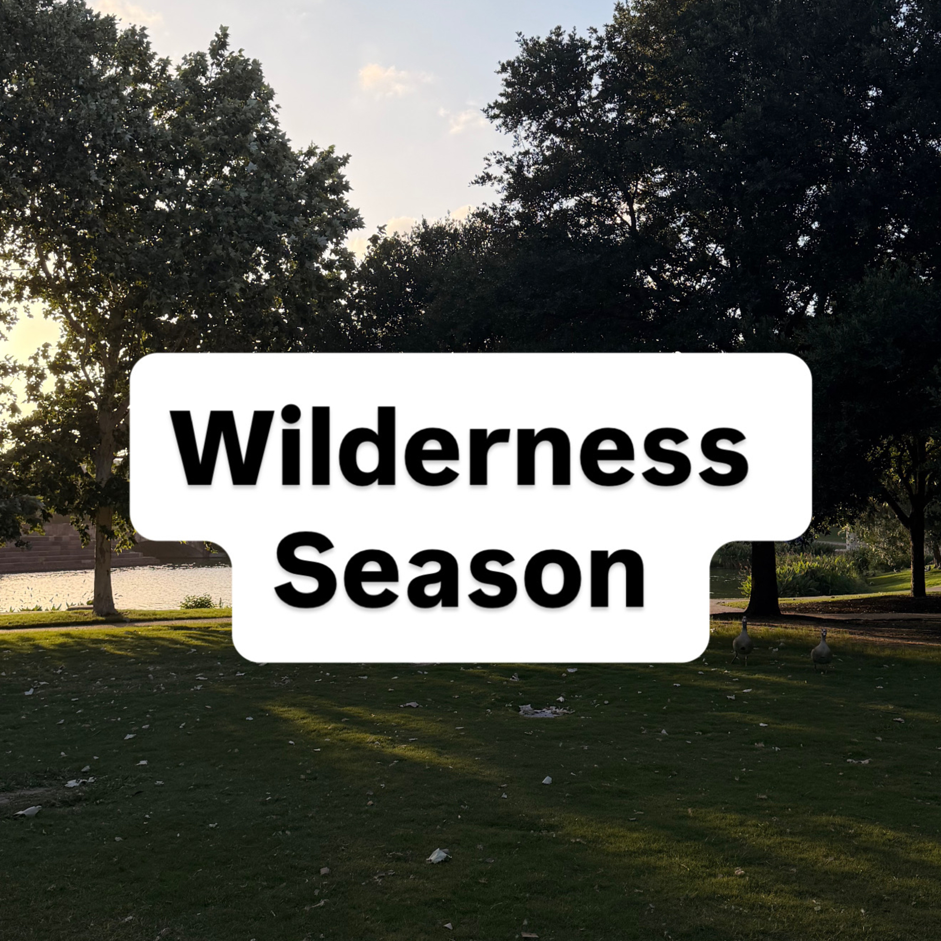 What God Is Teaching Me in the Wilderness
