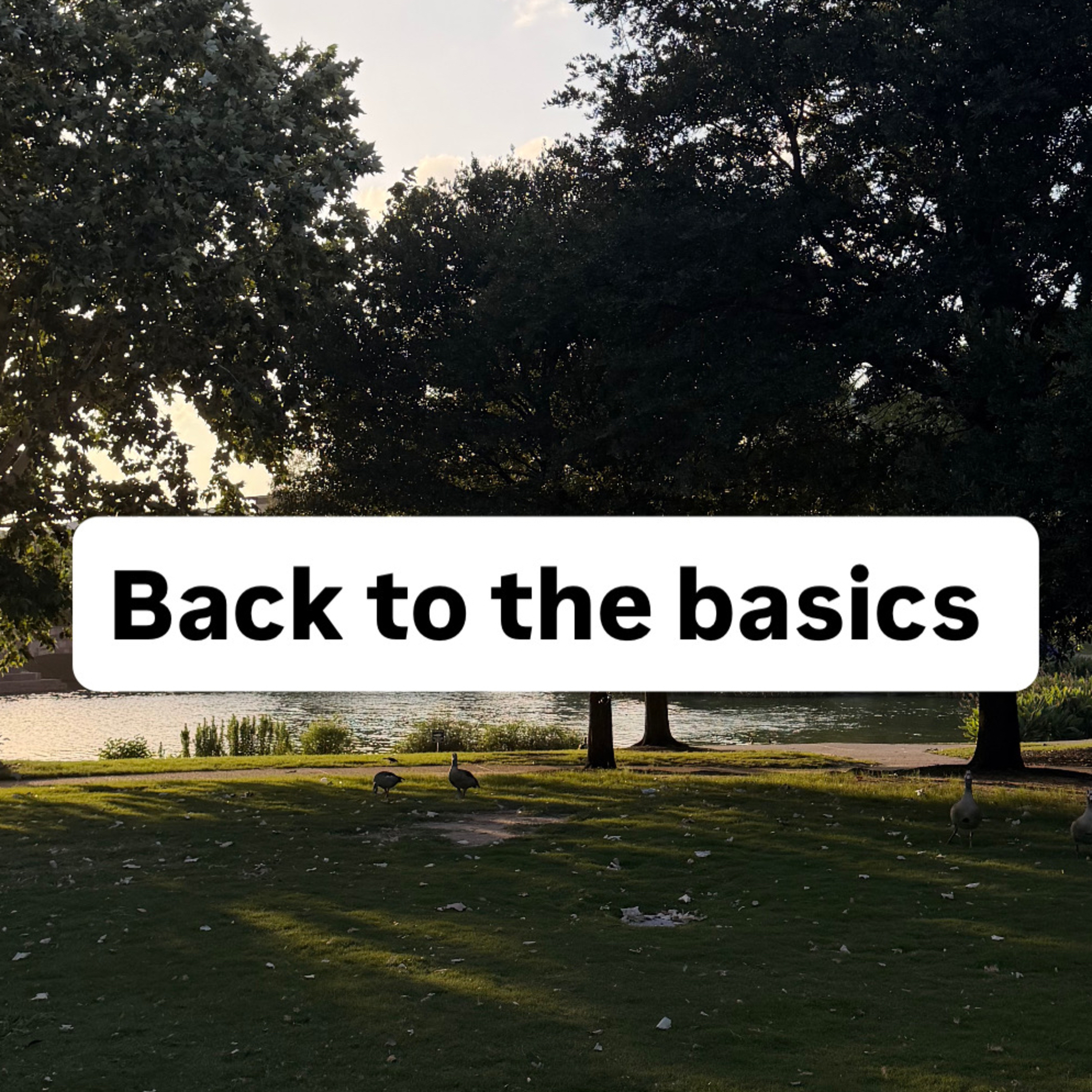 How I’m Learning to Participate in My Own Life Again