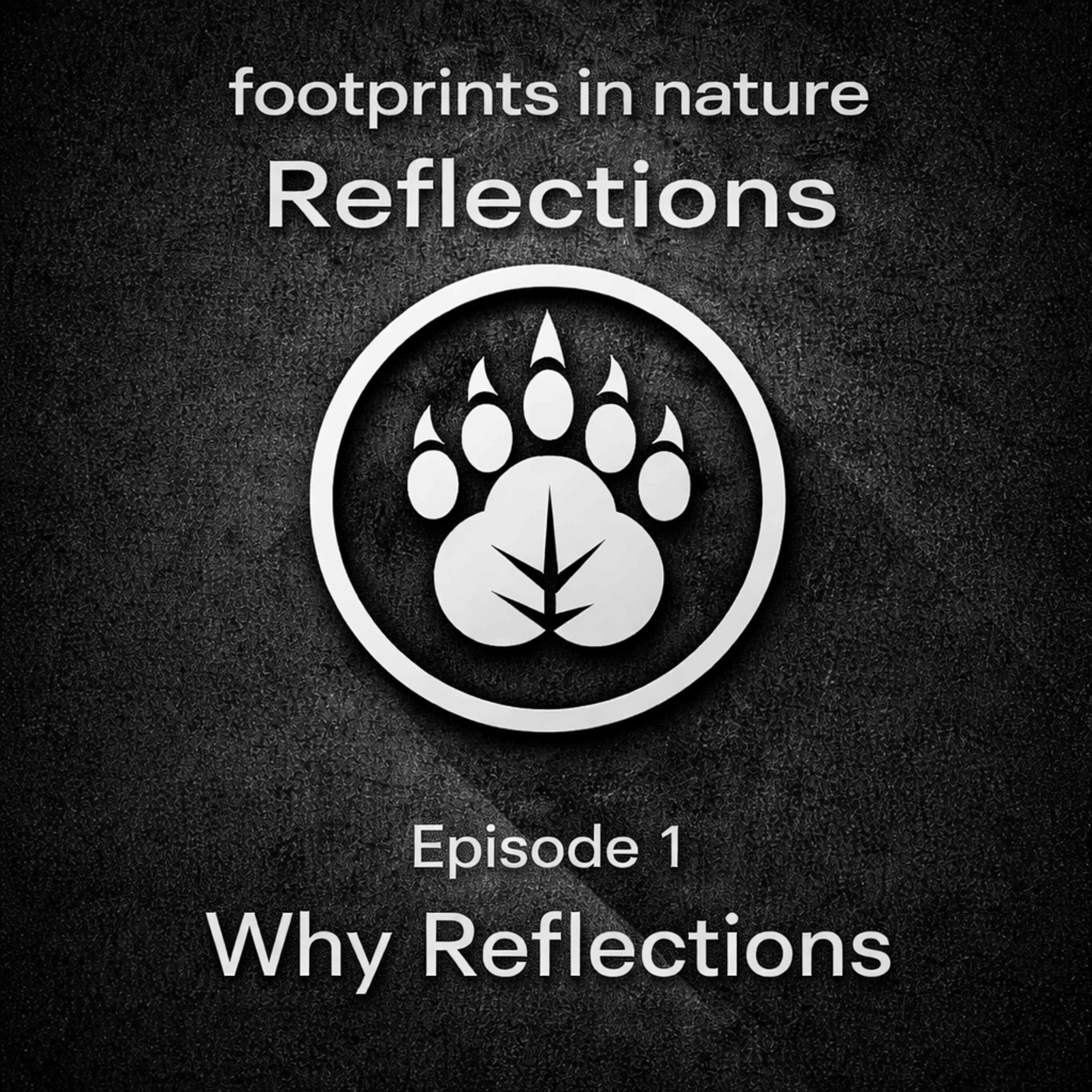 Footprints In Nature Reflections