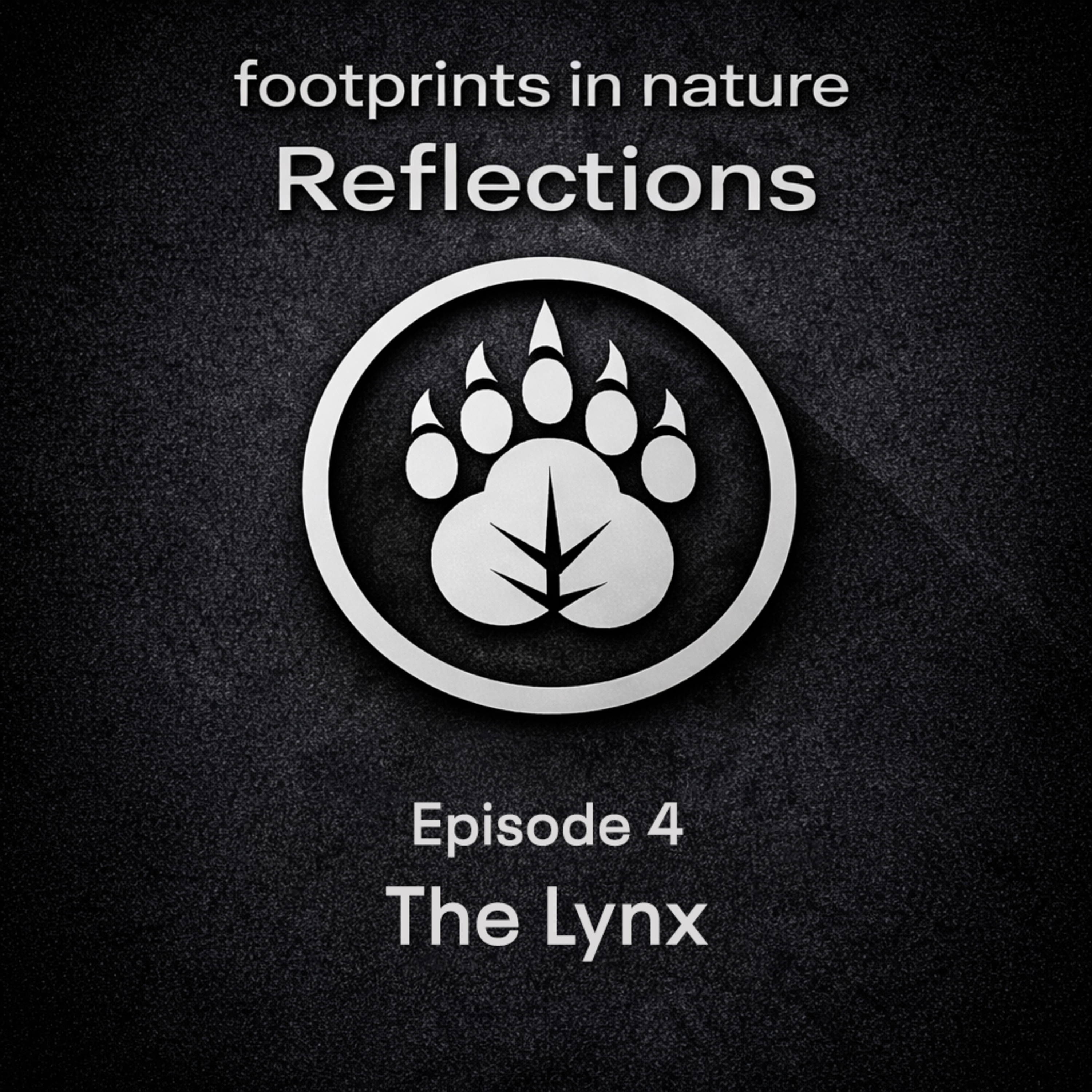 Footprints In Nature Reflections