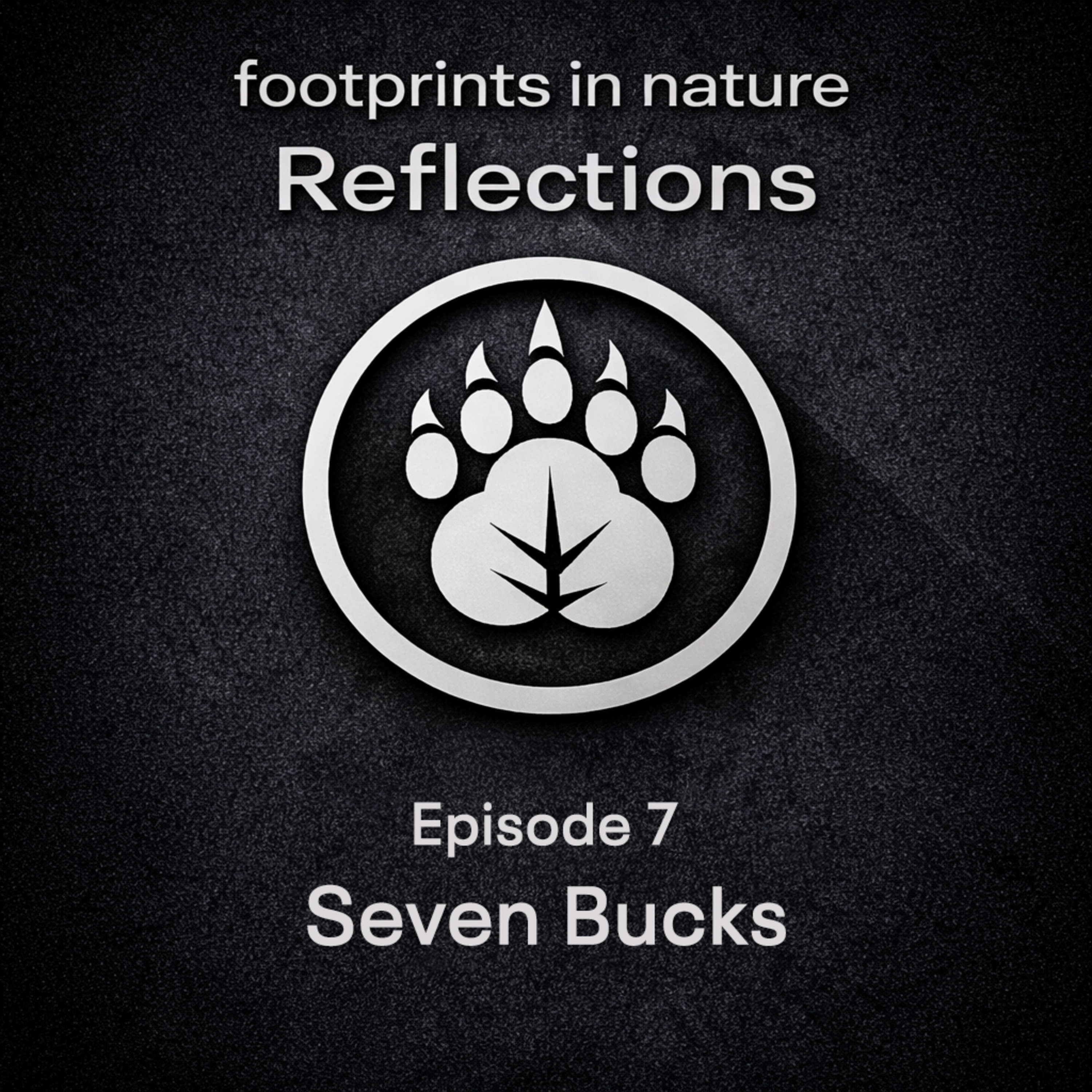 Footprints In Nature Reflections