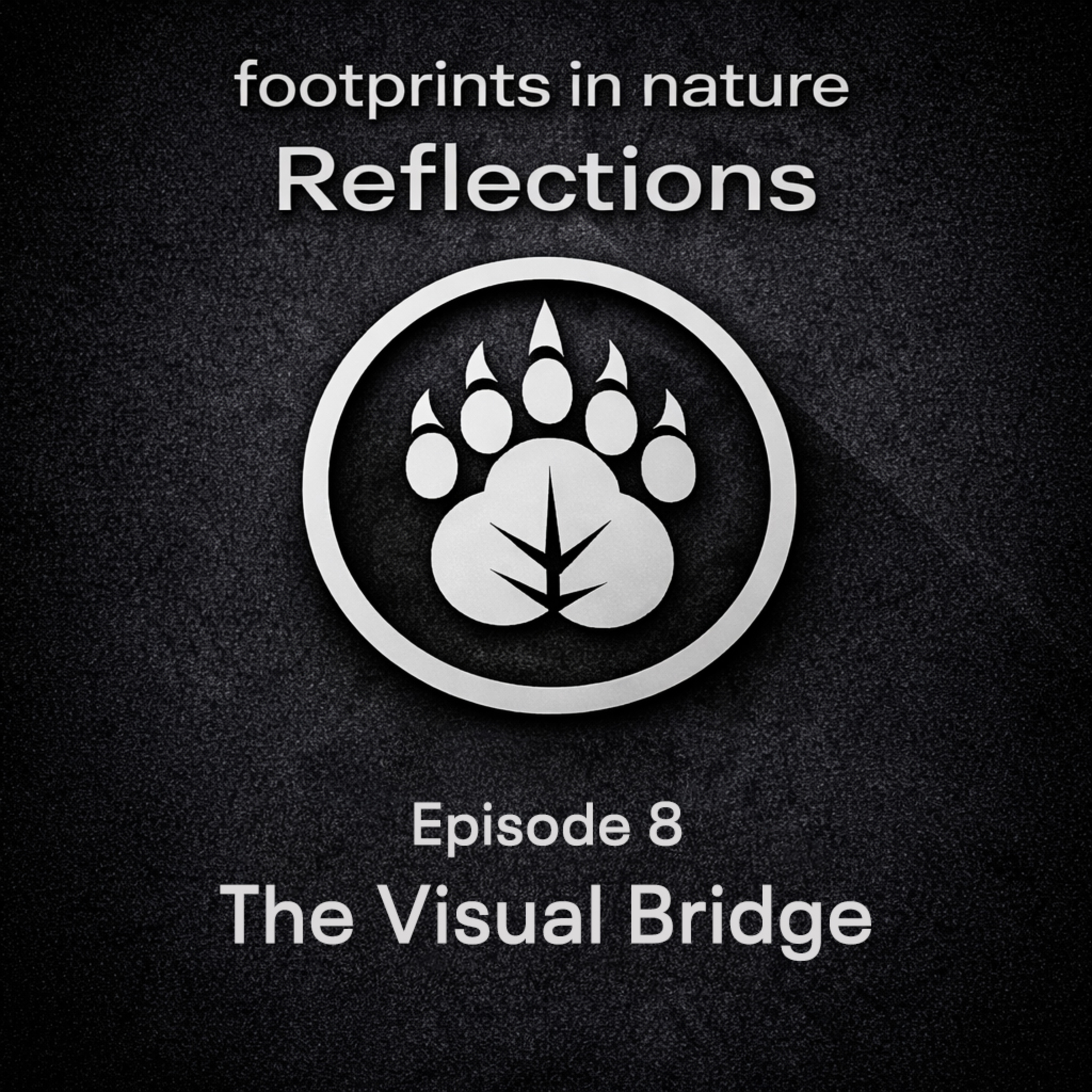 Footprints In Nature Reflections
