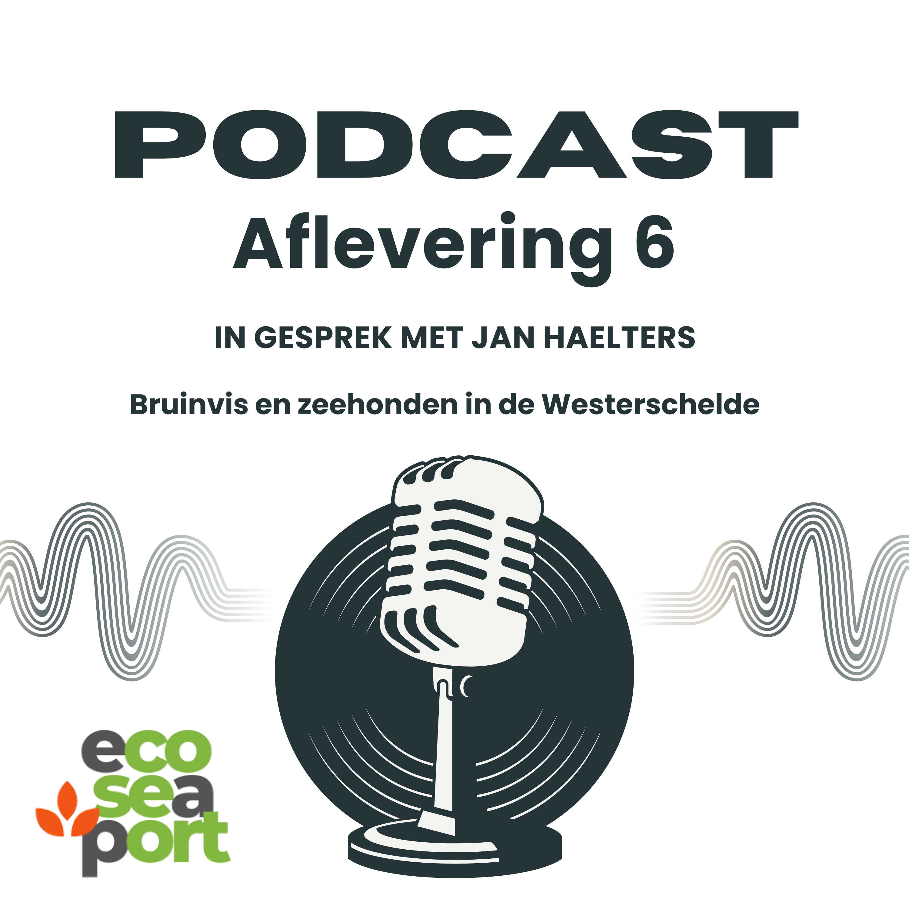 De Eco Sea Port Podcast - Bruinvissen en zeehonden in de Westerschelde - Een gesprek met Jan Haelters episode artwork