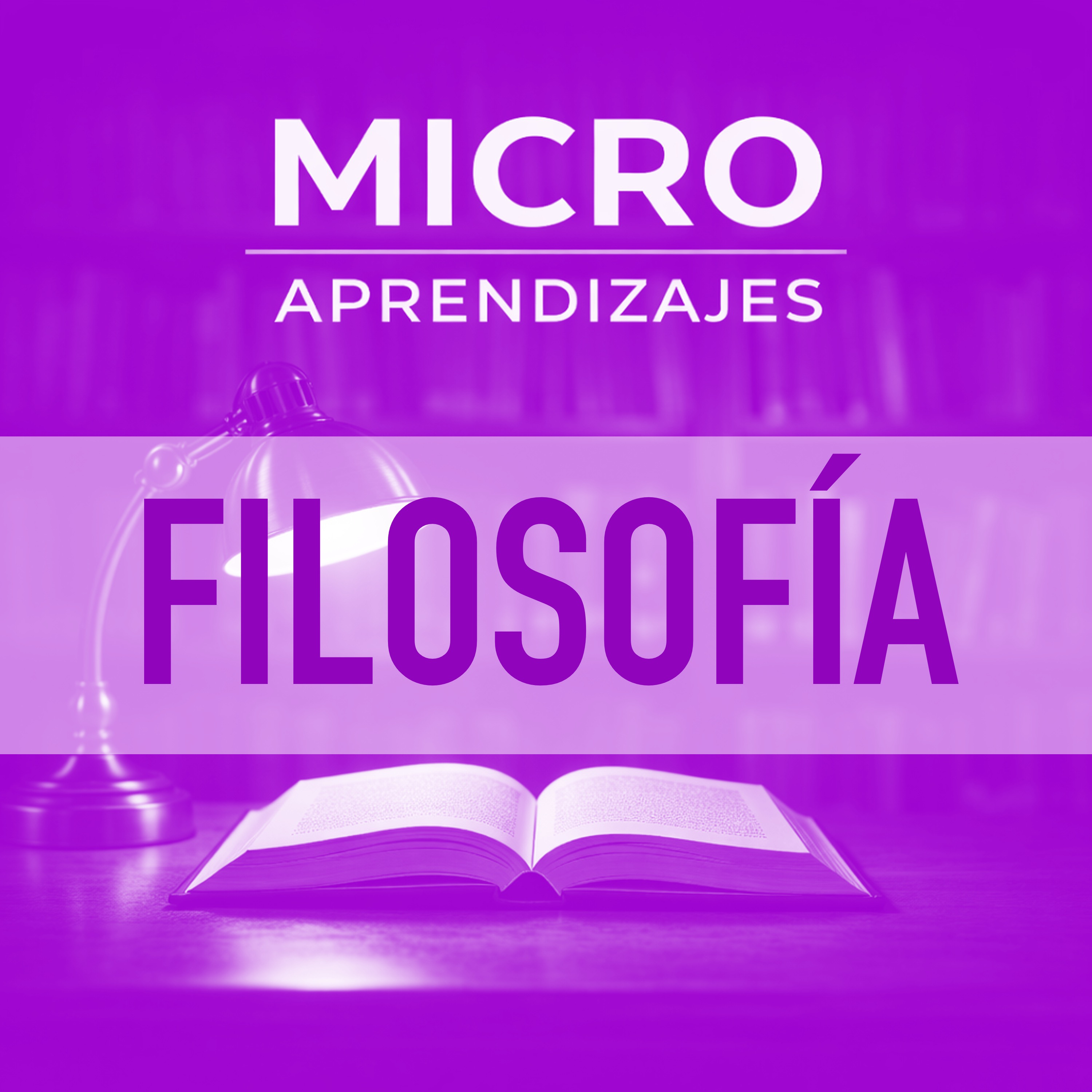 Microaprendizajes